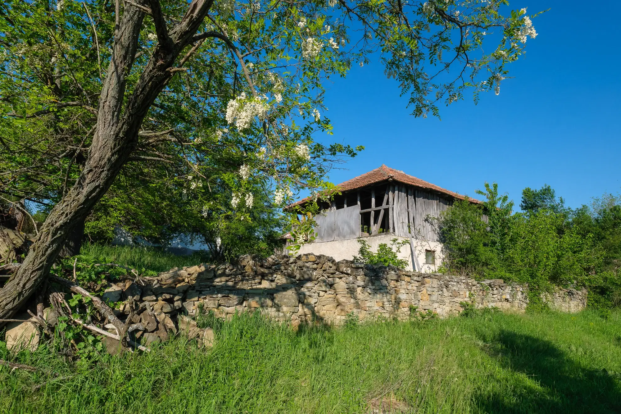 Huis met 2 schuren en 965 m2 grond in Izvor Mahala (Vidin) - Bulgarije