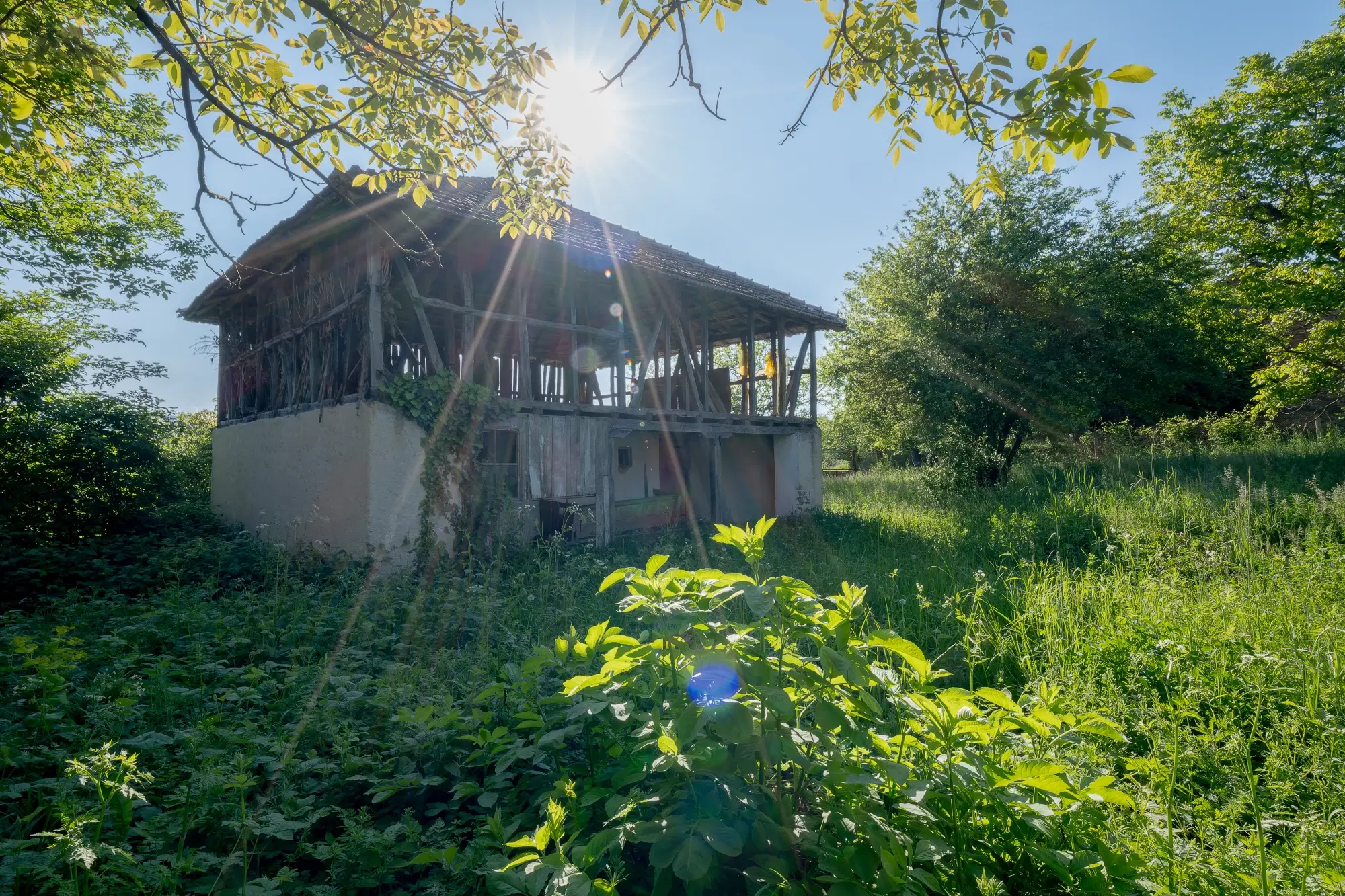 Huis met 2 schuren en 965 m2 grond in Izvor Mahala (Vidin) - Bulgarije