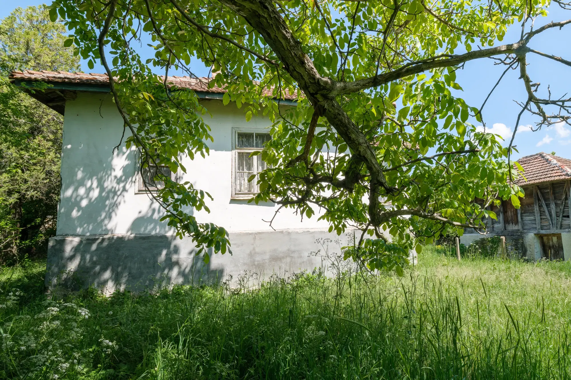 Huis met 2 schuren en 965 m2 grond in Izvor Mahala (Vidin) - Bulgarije