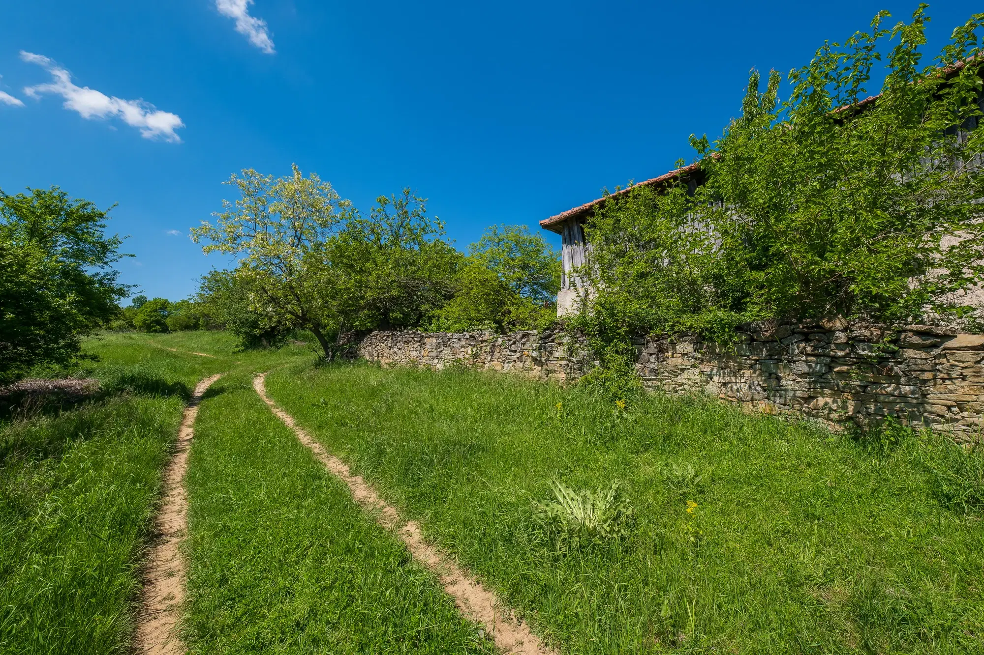 Huis met 2 schuren en 965 m2 grond in Izvor Mahala (Vidin) - Bulgarije