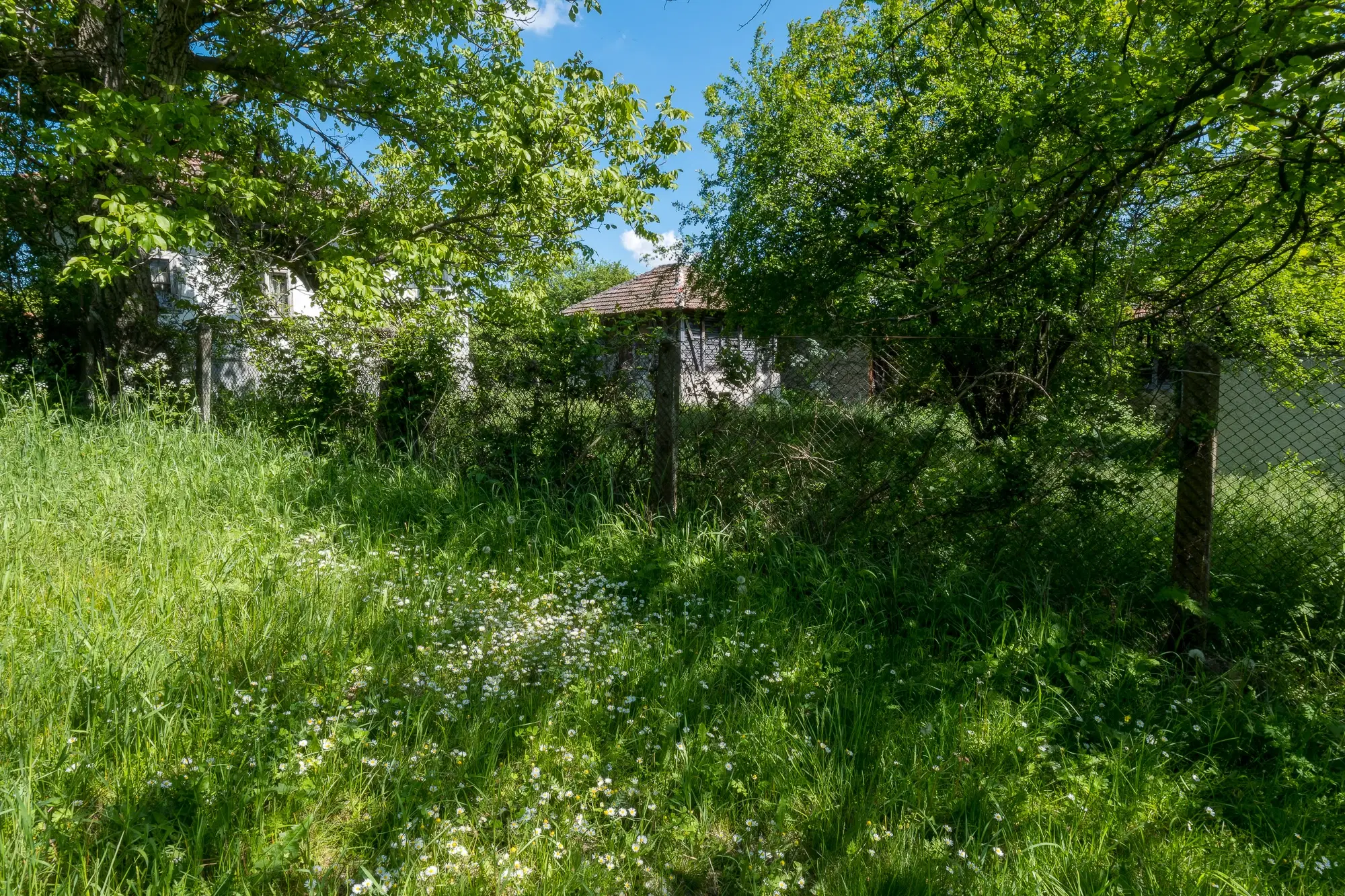 Huis met 2 schuren en 965 m2 grond in Izvor Mahala (Vidin) - Bulgarije