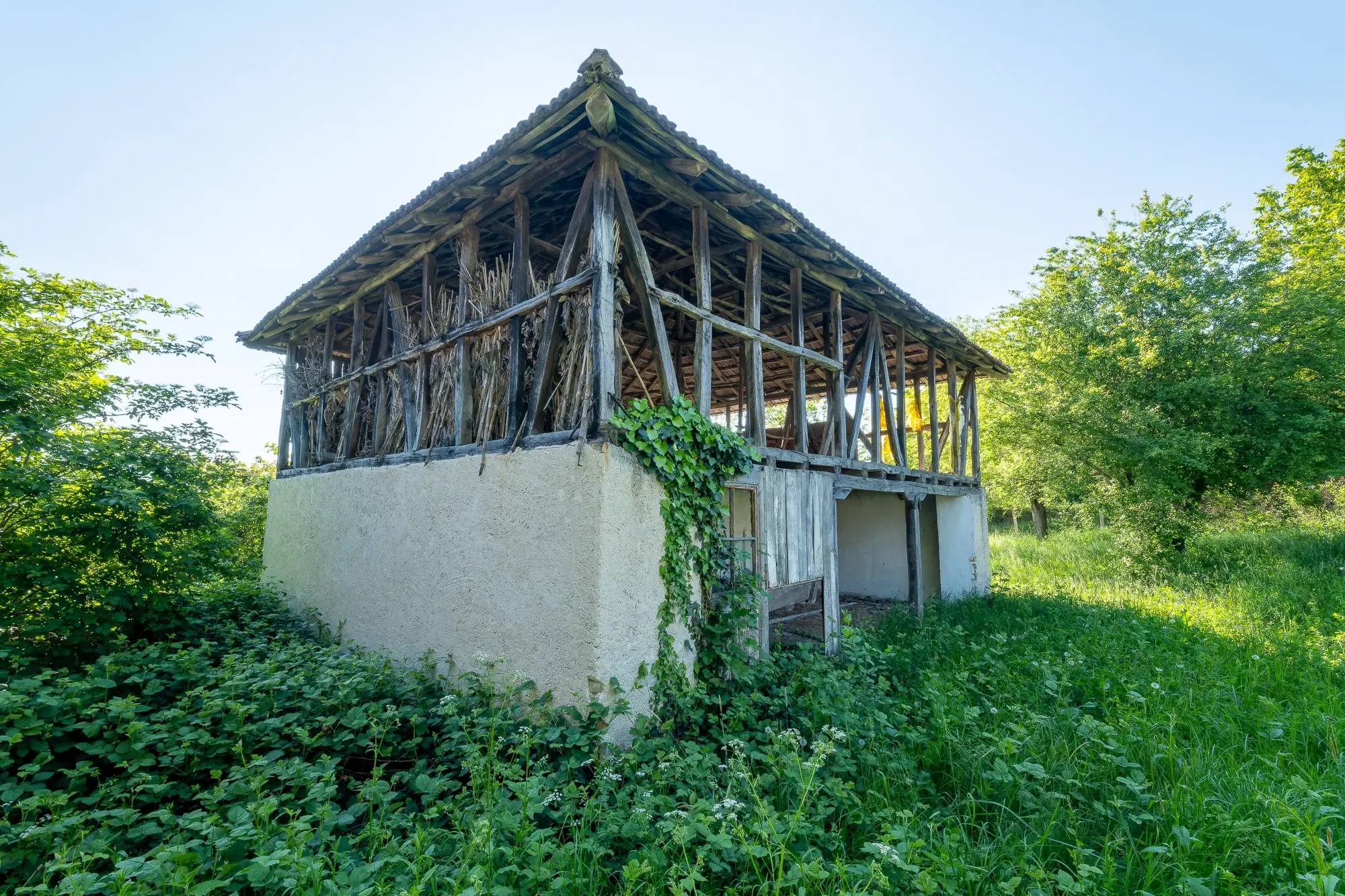 Huis met 2 schuren en 965 m2 grond in Izvor Mahala (Vidin) - Bulgarije