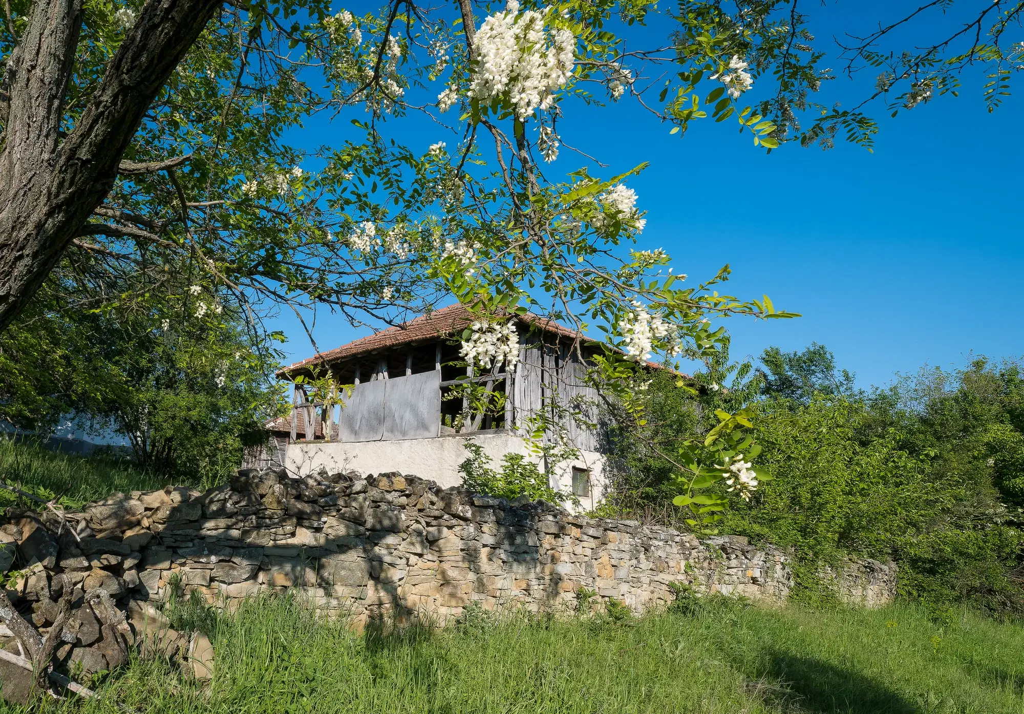 Huis met 2 schuren en 965 m2 grond in Izvor Mahala (Vidin) - Bulgarije