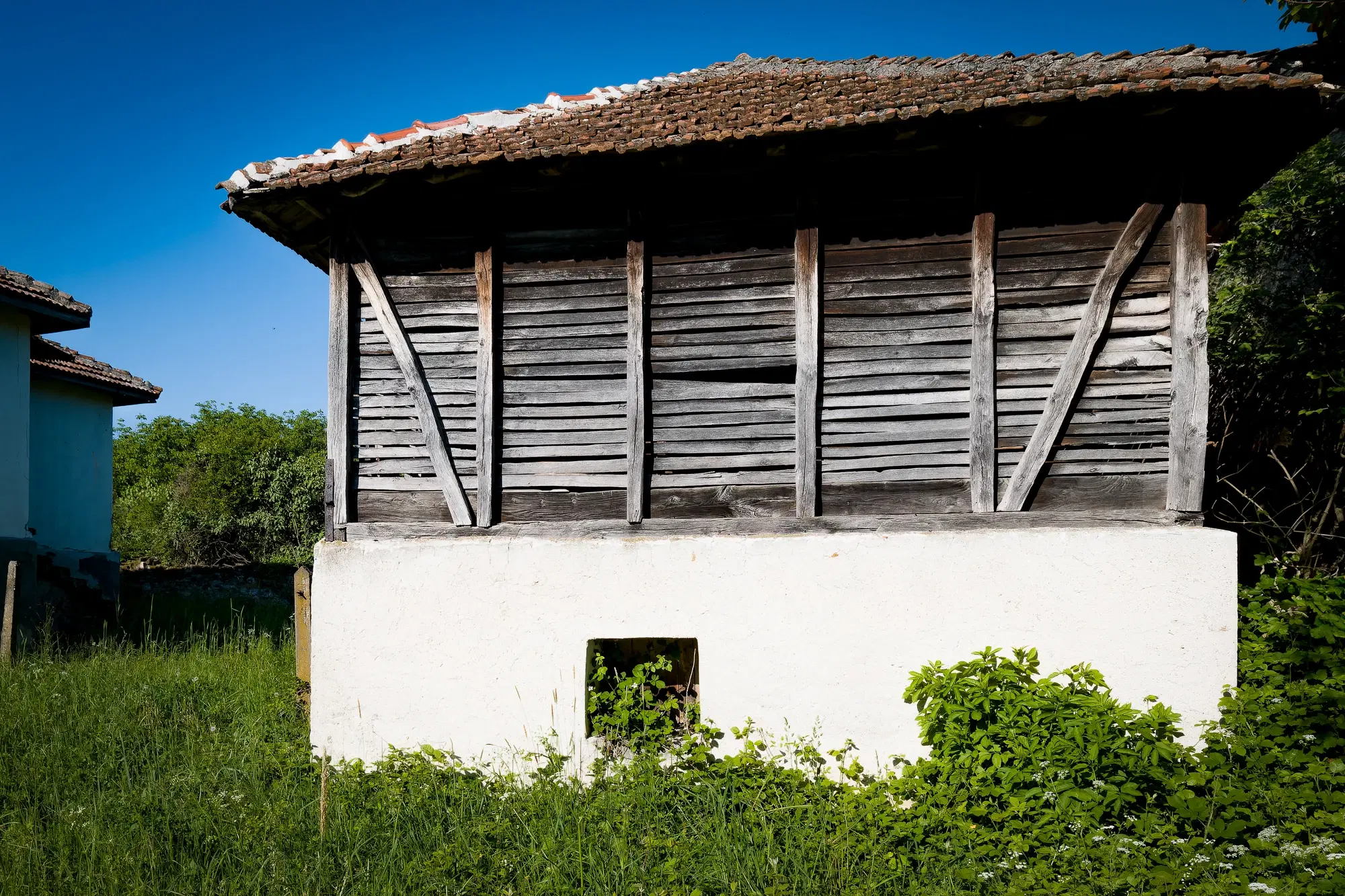 Huis met 2 schuren en 965 m2 grond in Izvor Mahala (Vidin) - Bulgarije