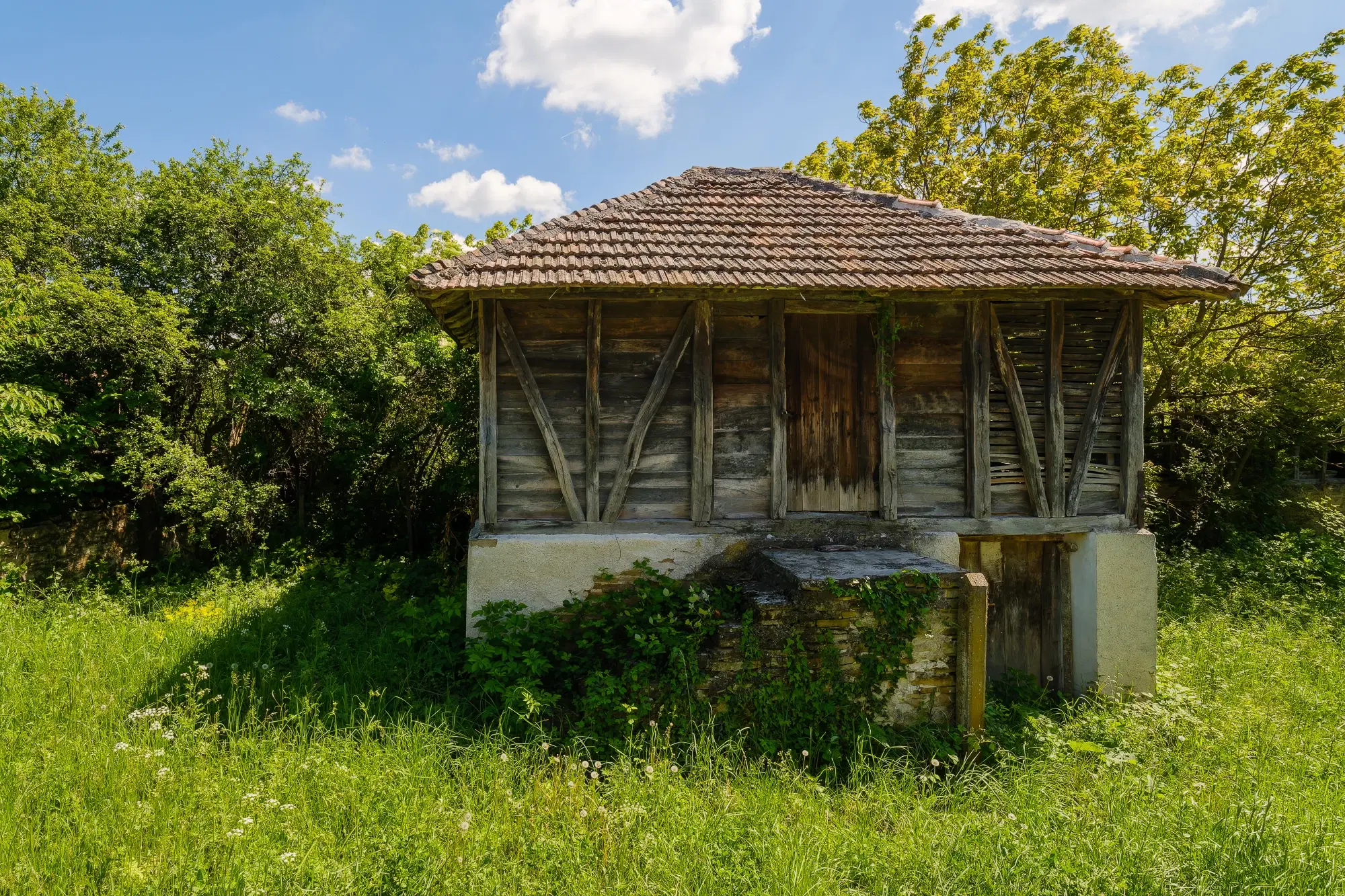 Huis met 2 schuren en 965 m2 grond in Izvor Mahala (Vidin) - Bulgarije