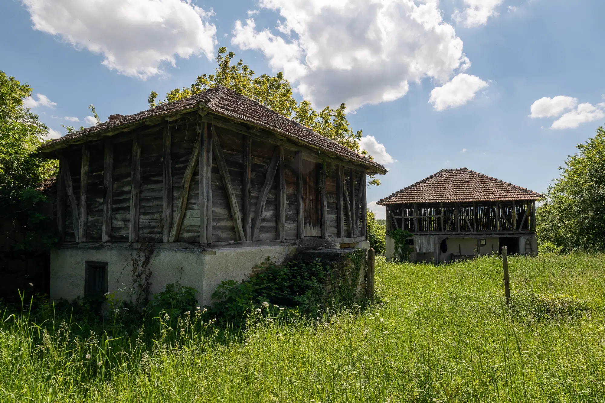 Huis met 2 schuren en 965 m2 grond in Izvor Mahala (Vidin) - Bulgarije