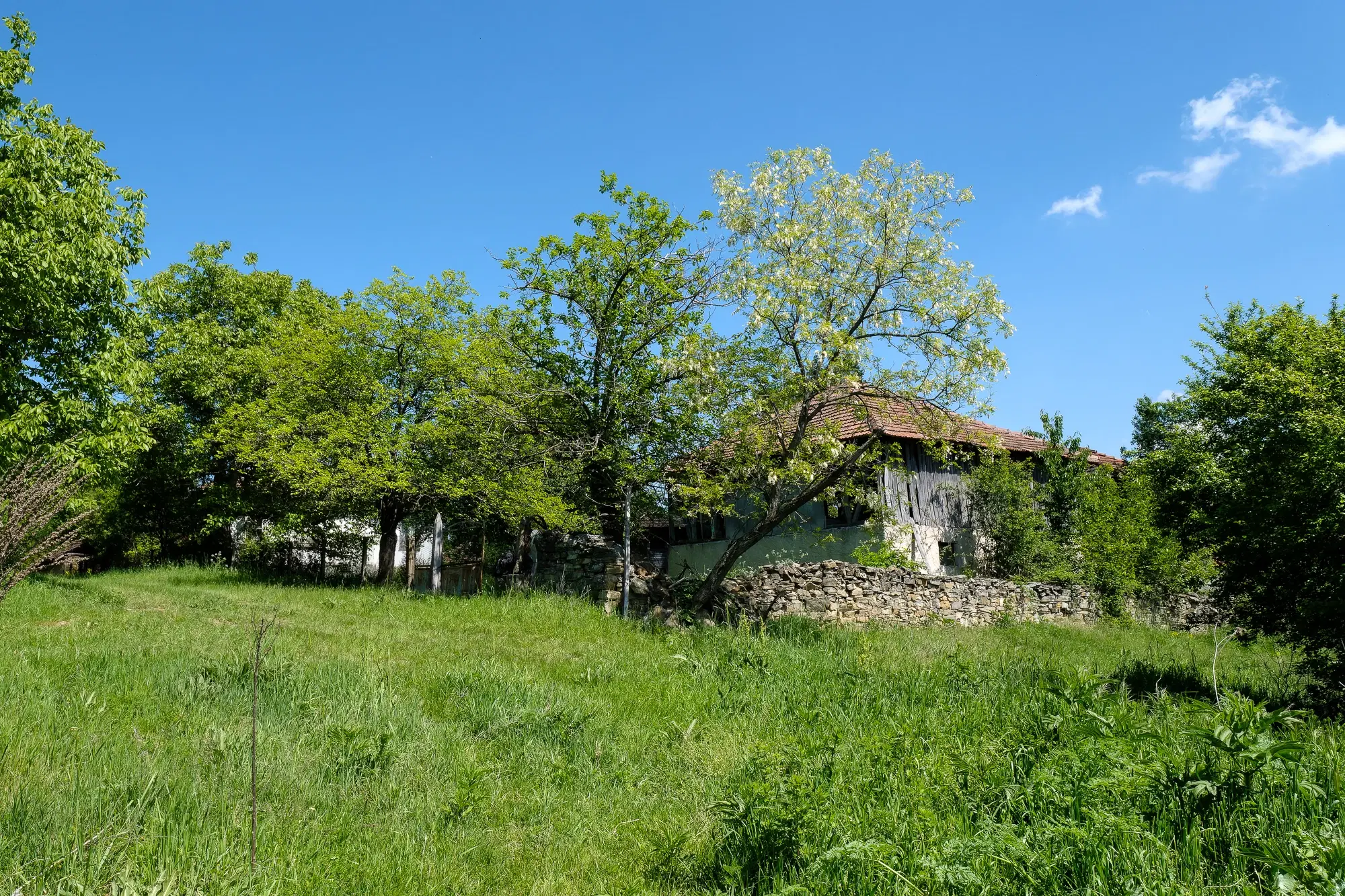 Huis met 2 schuren en 965 m2 grond in Izvor Mahala (Vidin) - Bulgarije