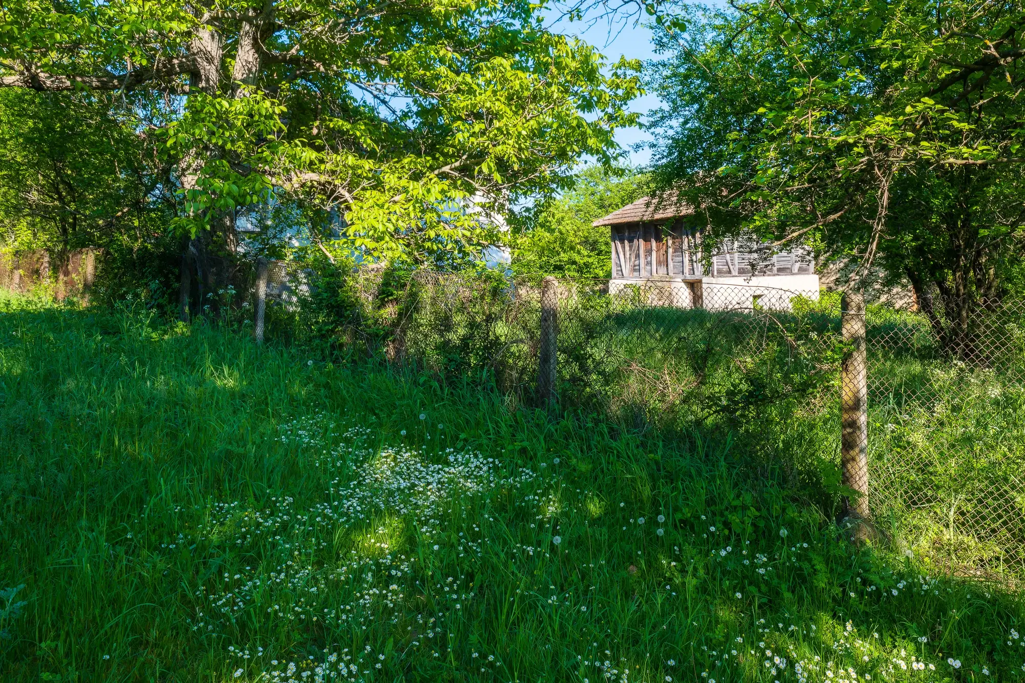 Huis met 2 schuren en 965 m2 grond in Izvor Mahala (Vidin) - Bulgarije