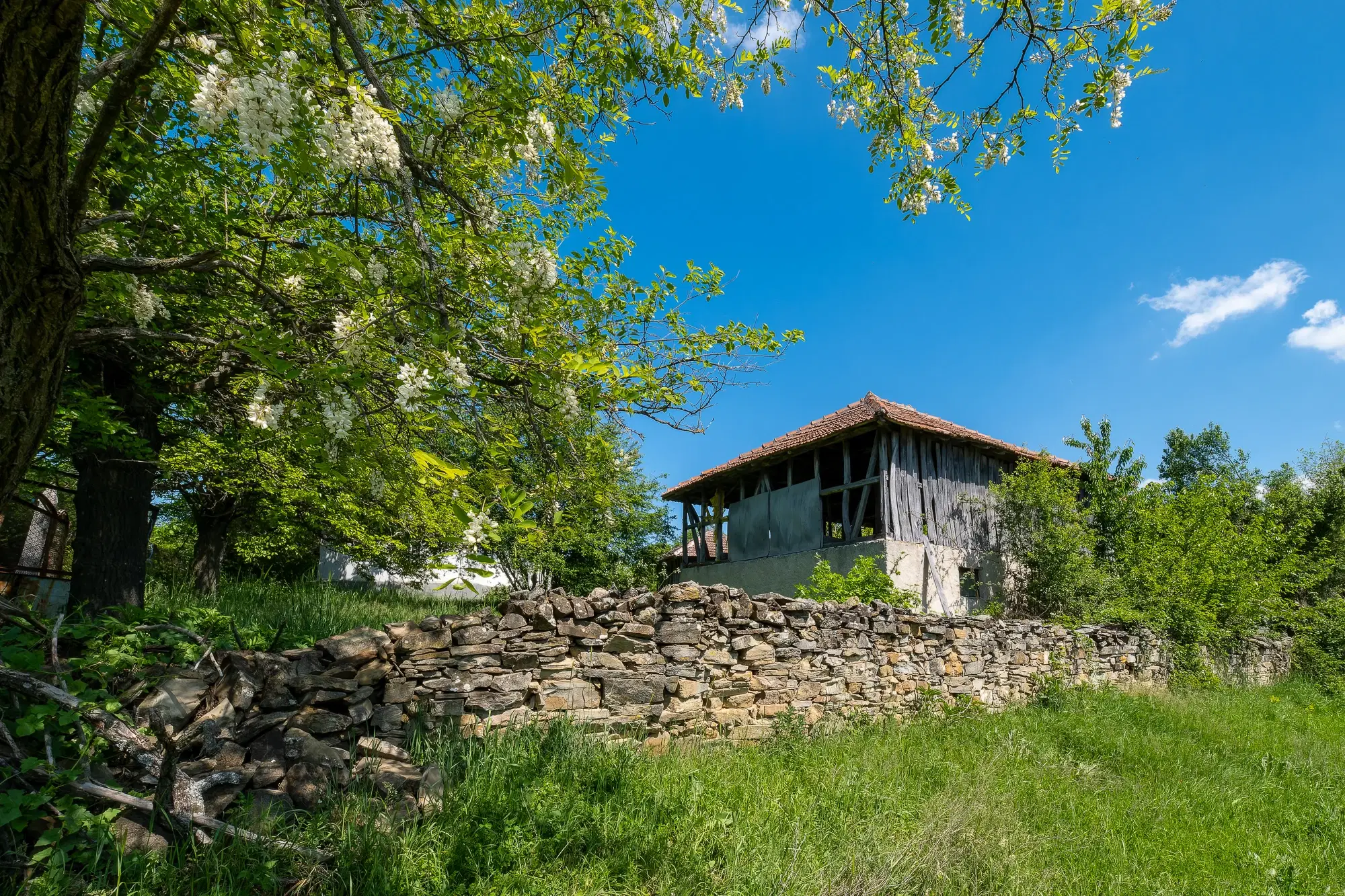 Huis met 2 schuren en 965 m2 grond in Izvor Mahala (Vidin) - Bulgarije