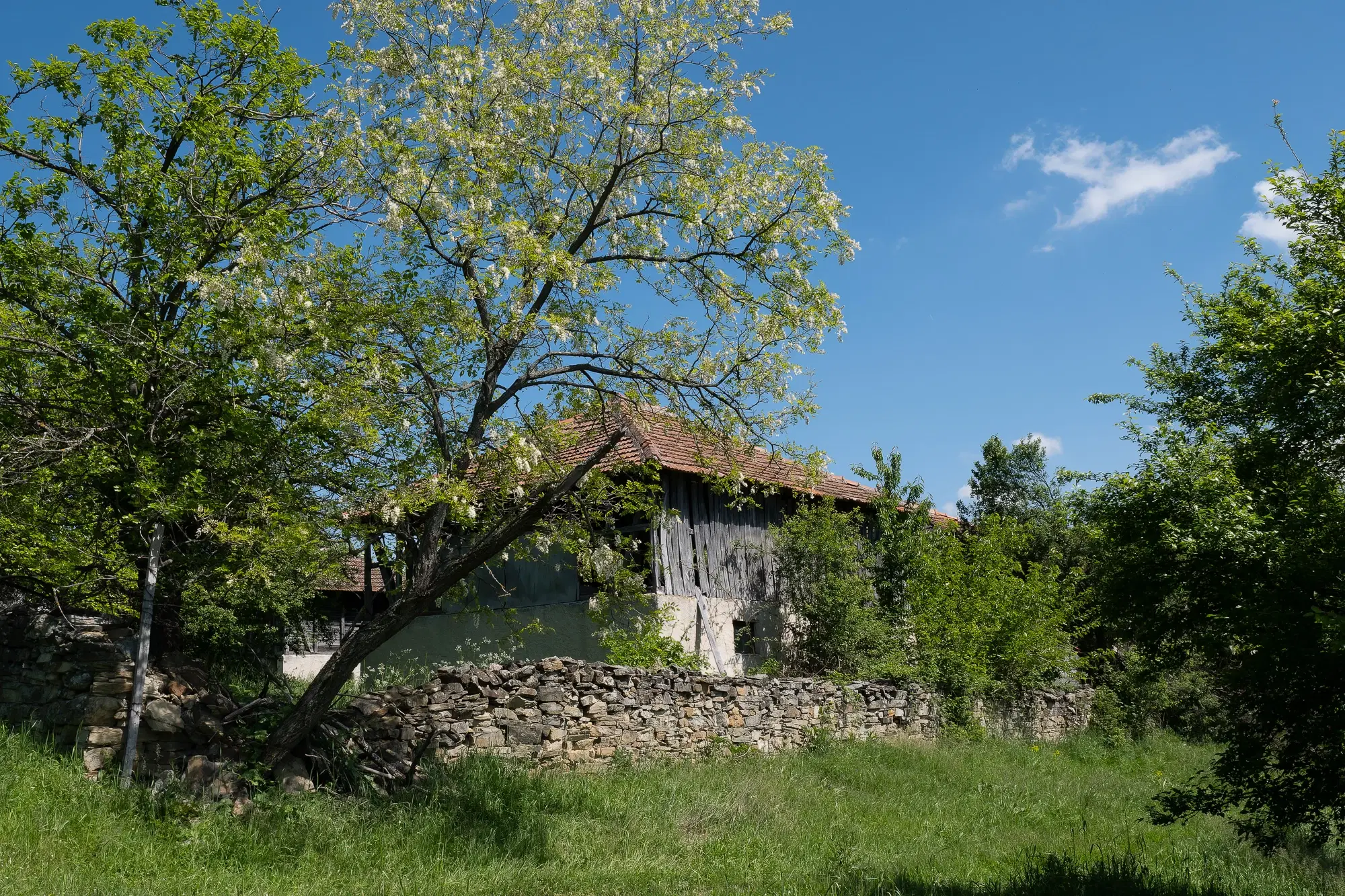 Huis met 2 schuren en 965 m2 grond in Izvor Mahala (Vidin) - Bulgarije