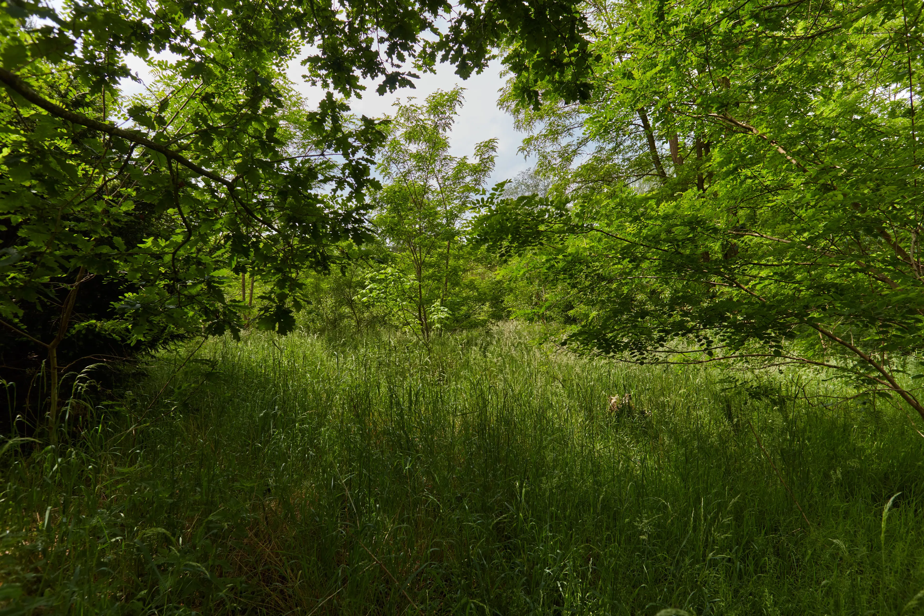 Camping Fort Oranje