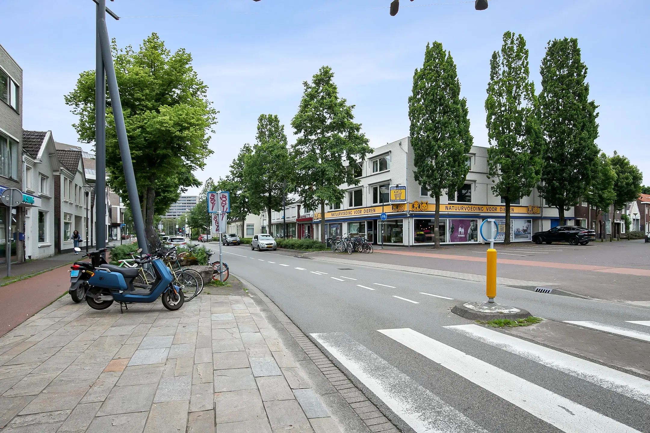 Eindhoven, Lupinestraat 11