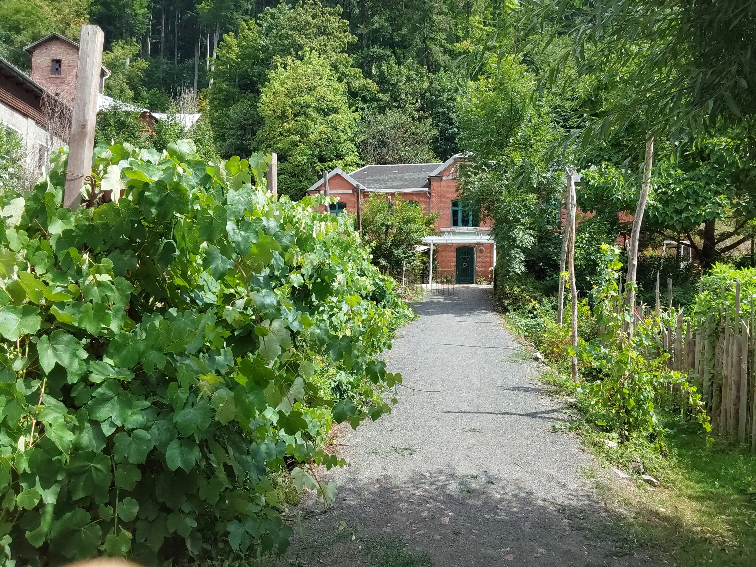 Villa/huis 1.8 ha perceel, tuin, bos, sauna, bron + bedrijf in Sonneberg - Duitsland - 1890