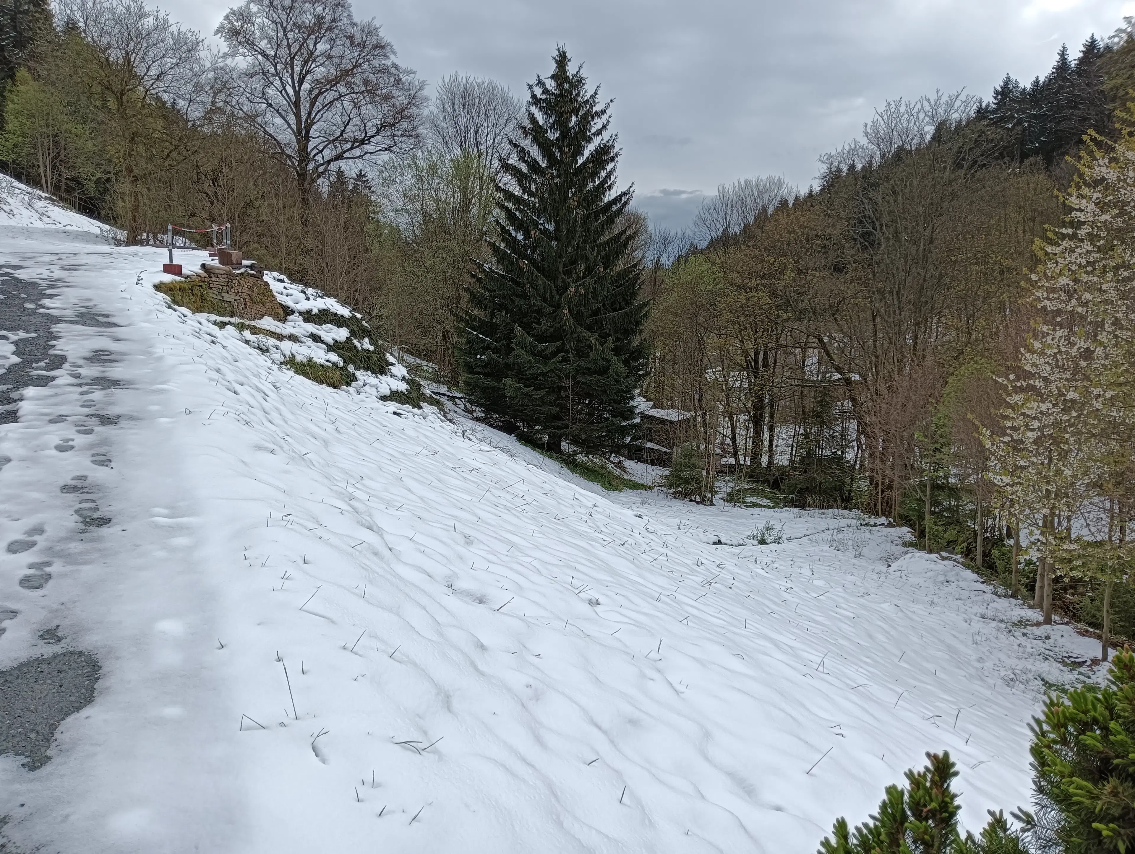 Huis met 312 m2 grond in Klingenthal - Duitsland