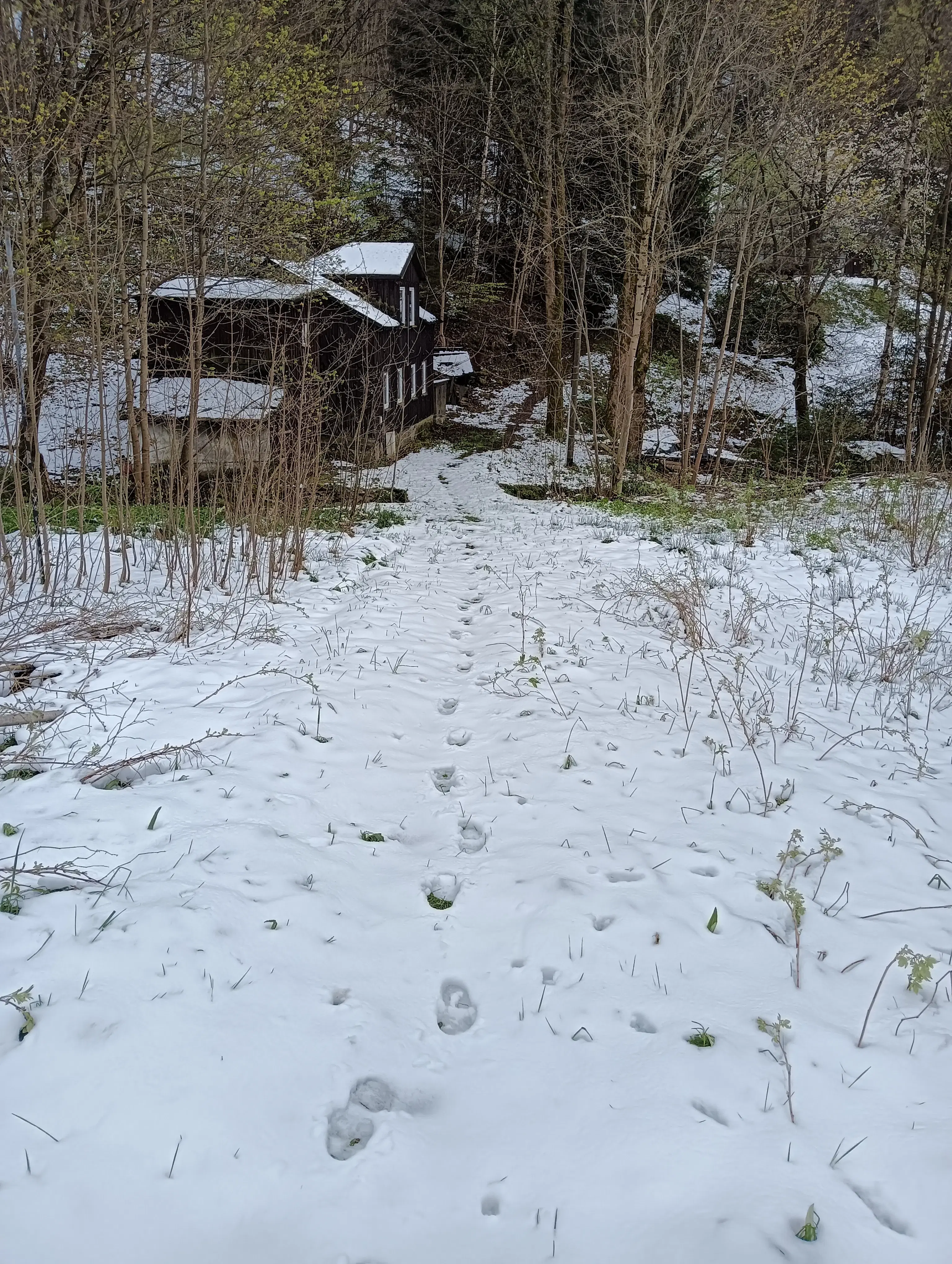 Huis met 312 m2 grond in Klingenthal - Duitsland