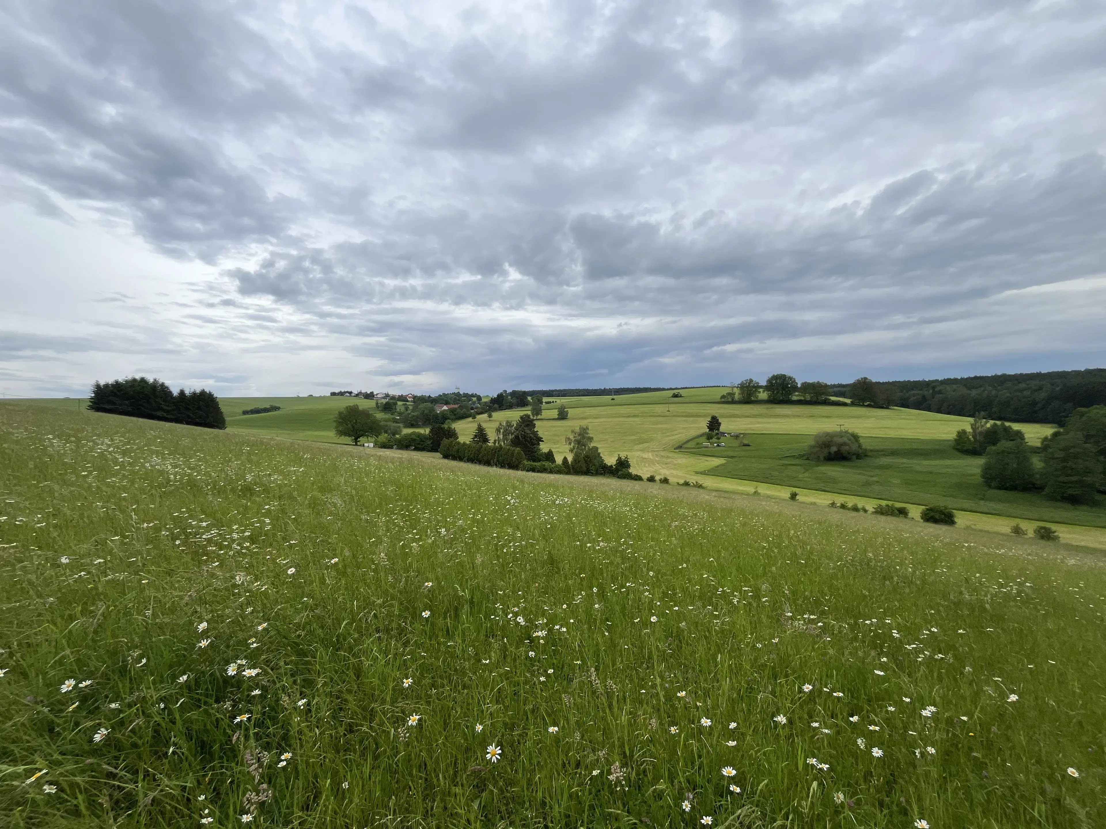 Vakantiebungalow in de natuur van Bocka OT Großbocka - Duitsland