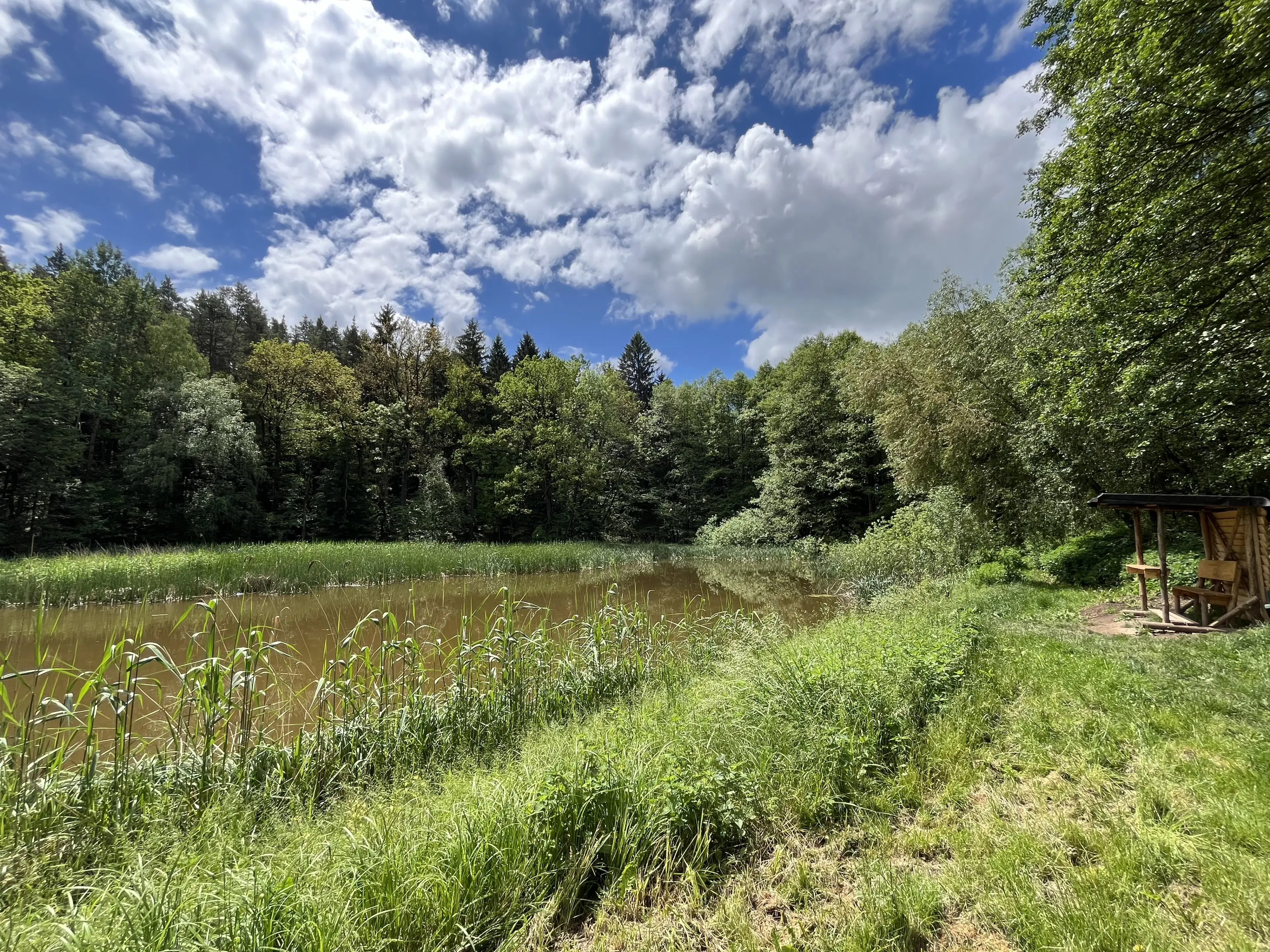 Vakantiebungalow in de natuur van Bocka OT Großbocka - Duitsland