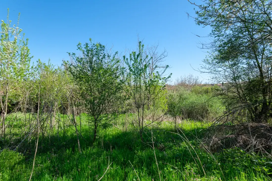 Hoofdgebouw met 2 verdiepingen, bijgebouwen, omgebouwde container en 714 m2 land in Burgas - Bulgarije