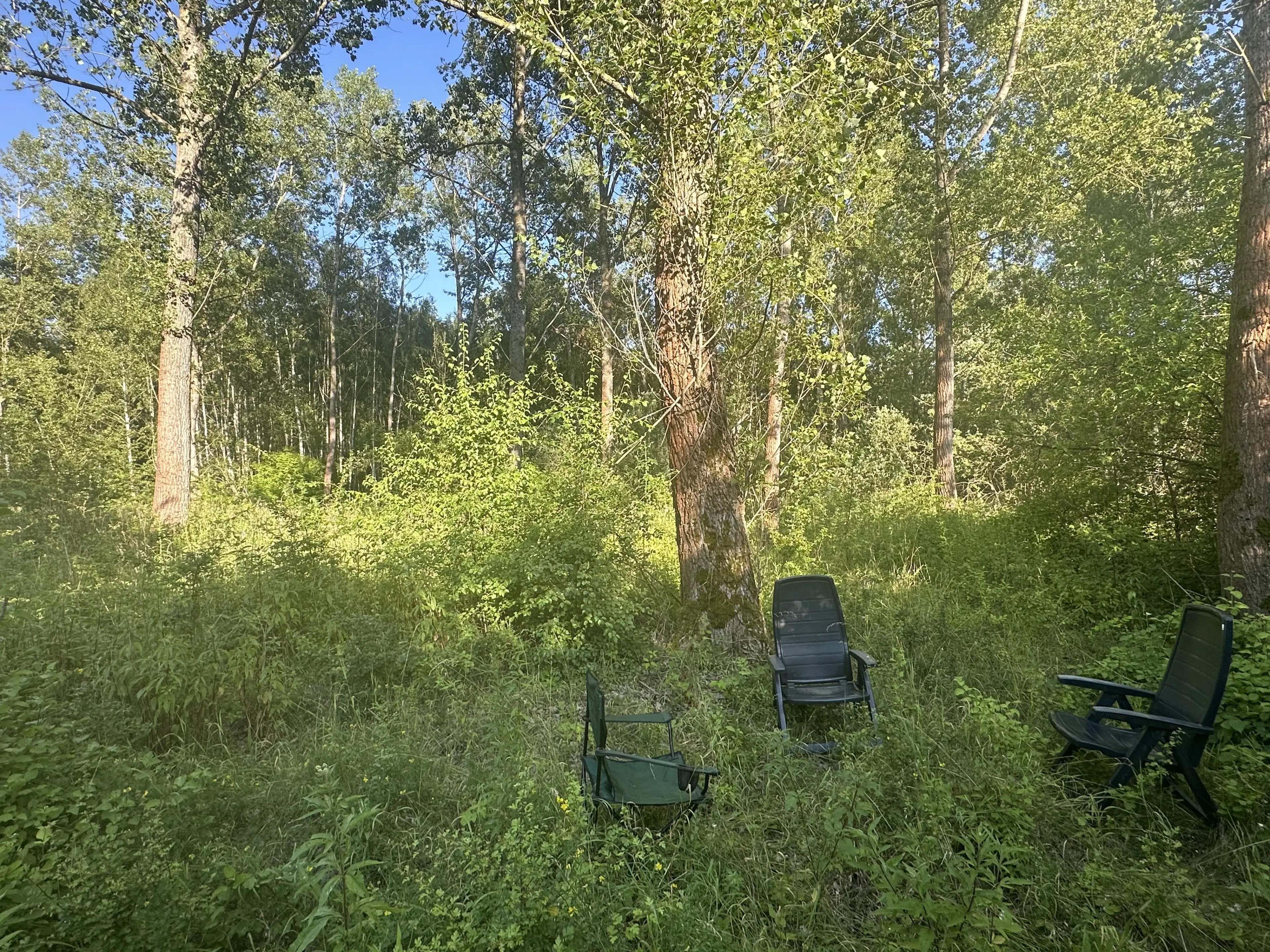 Perceel bosgrond in Zedlitz - Borna - Duitsland