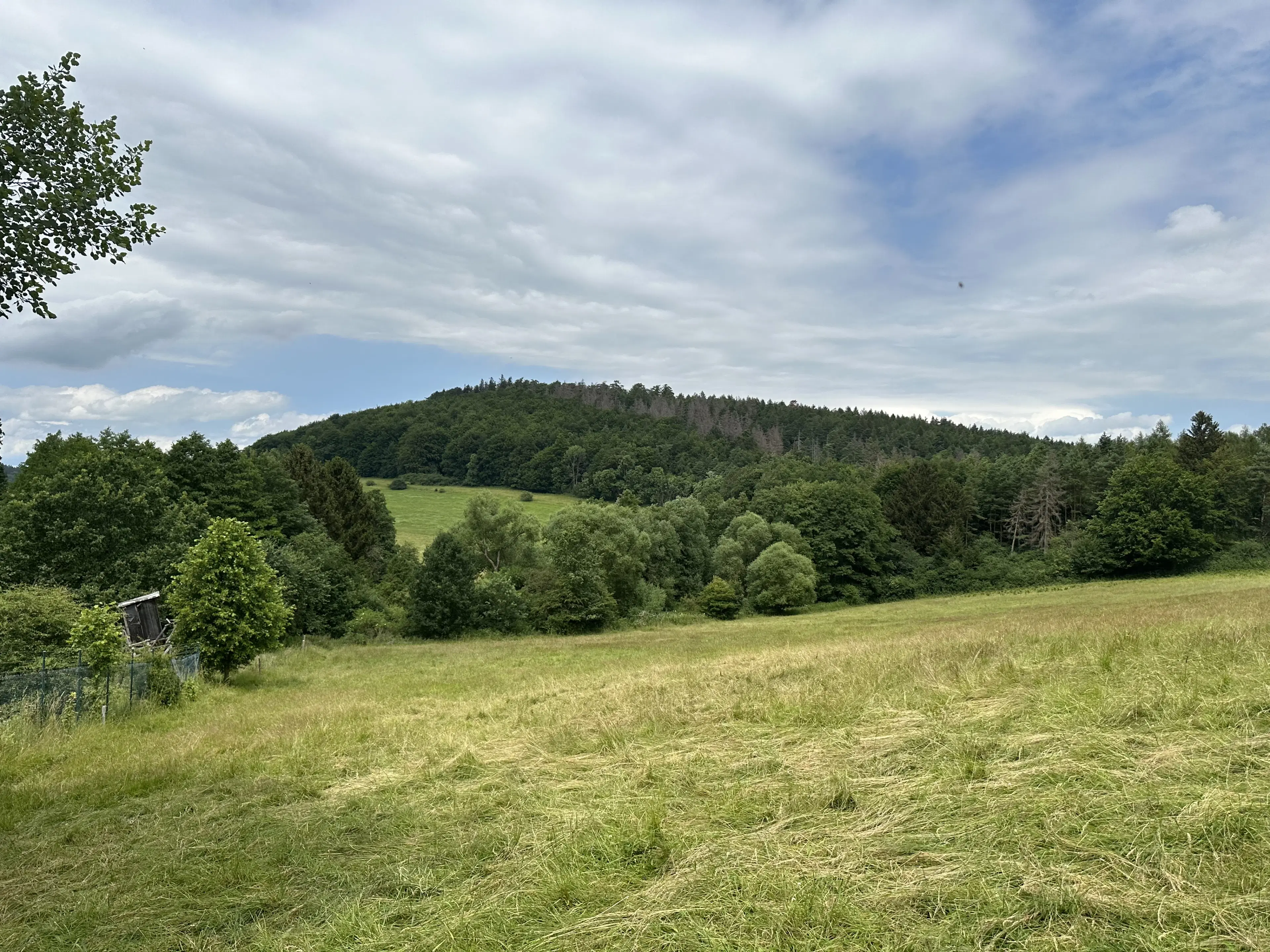 Perceel grond met jachthut van 3.320 m2 in Friedrichroda - Duitsland