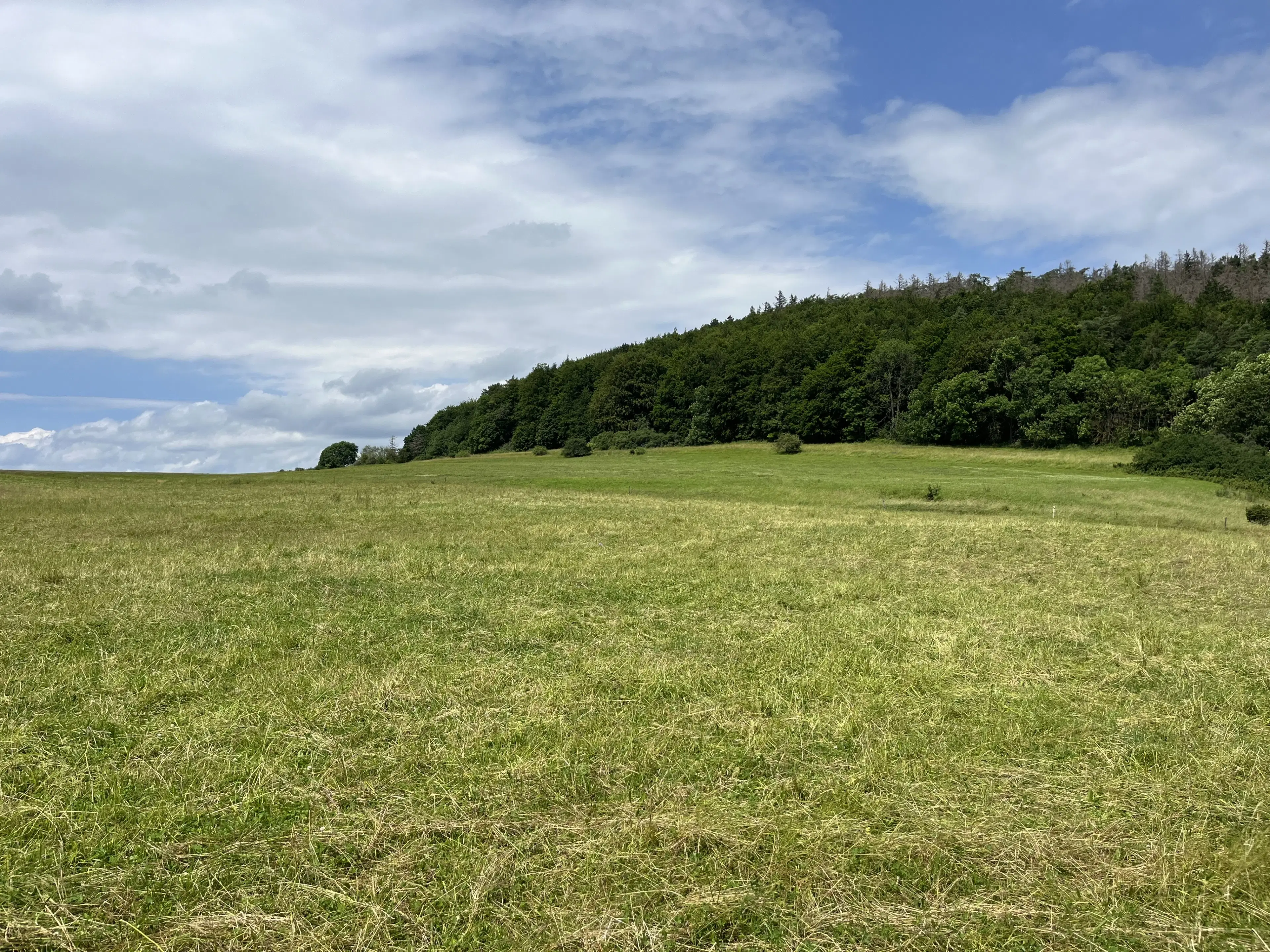 Perceel grond met jachthut van 3.320 m2 in Friedrichroda - Duitsland