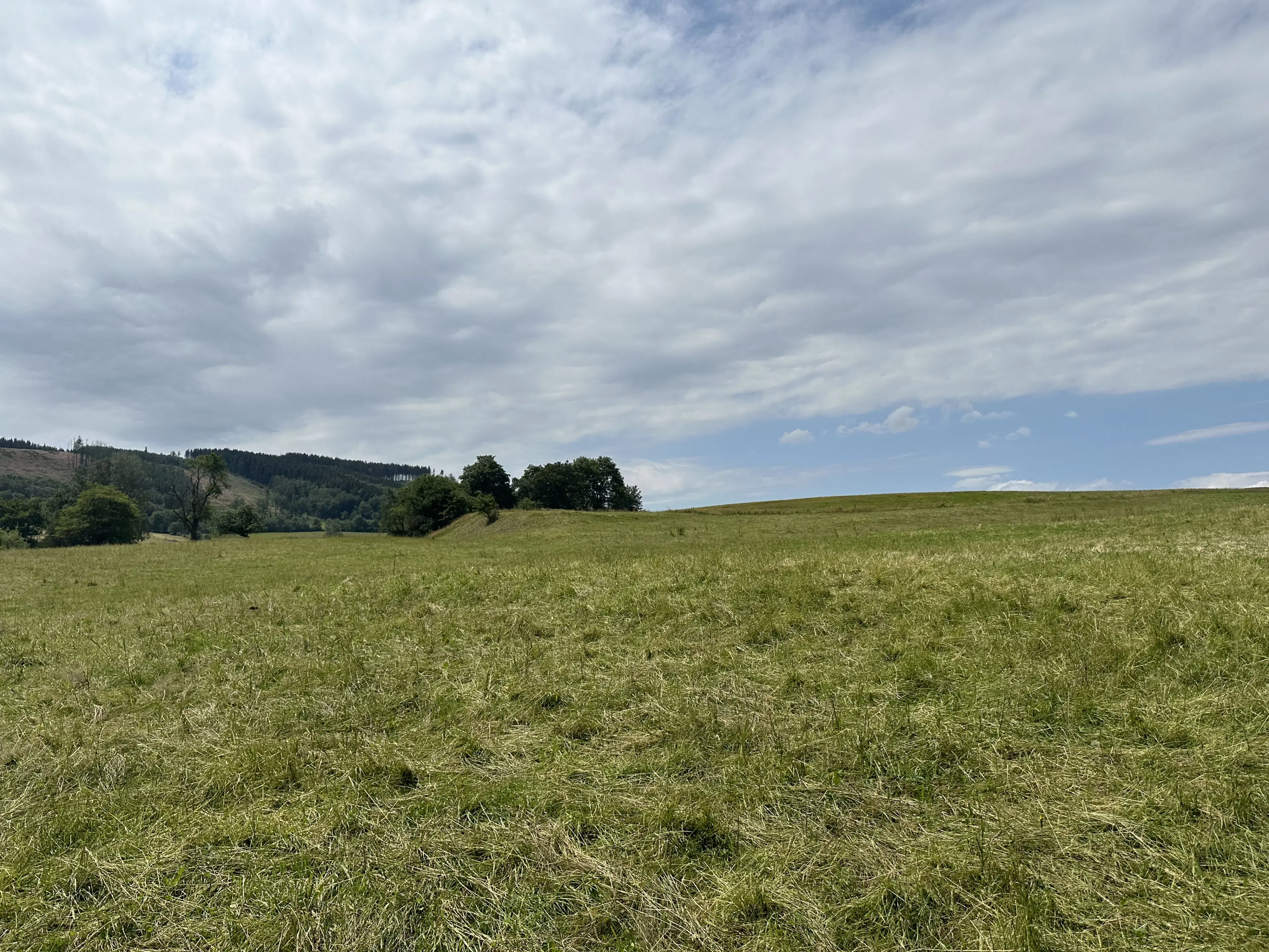 Perceel grond met jachthut van 3.320 m2 in Friedrichroda - Duitsland