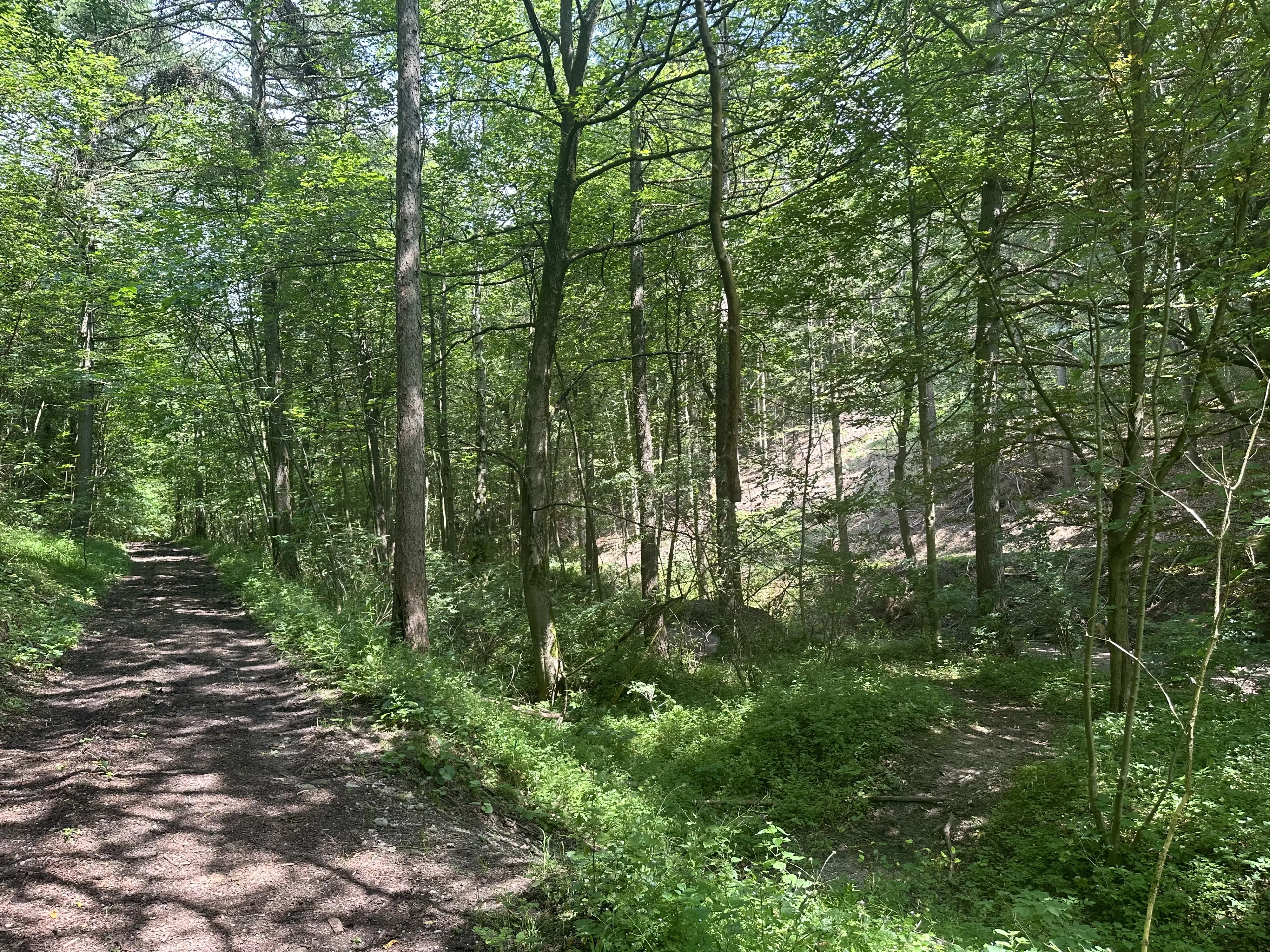 Perceel grond met jachthut van 3.320 m2 in Friedrichroda - Duitsland