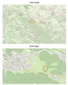 Perceel grond met jachthut van 3.320 m2 in Friedrichroda - Duitsland