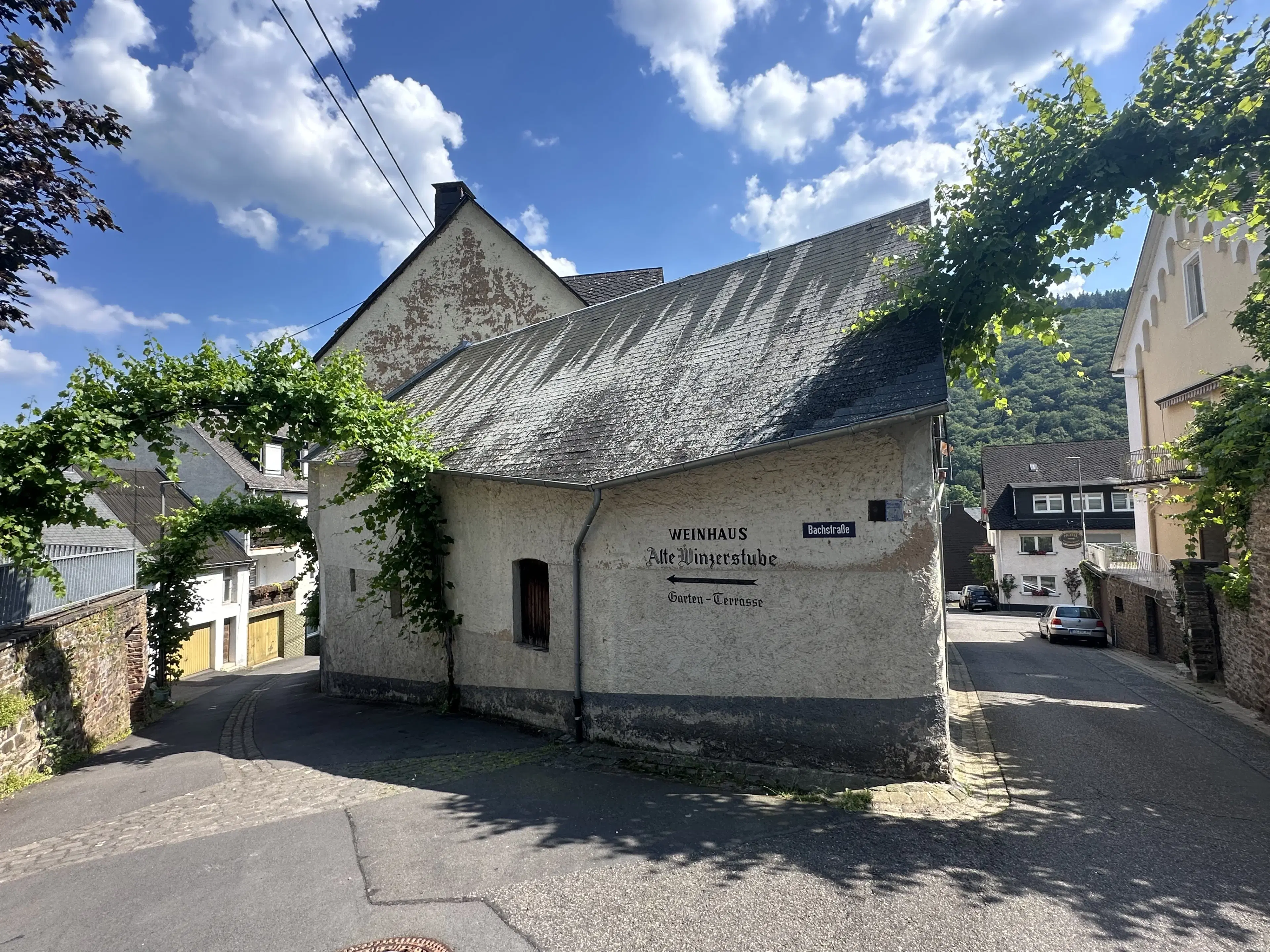 Gebruiksklare wijngaarden in Cochem - Bremm - Duitsland