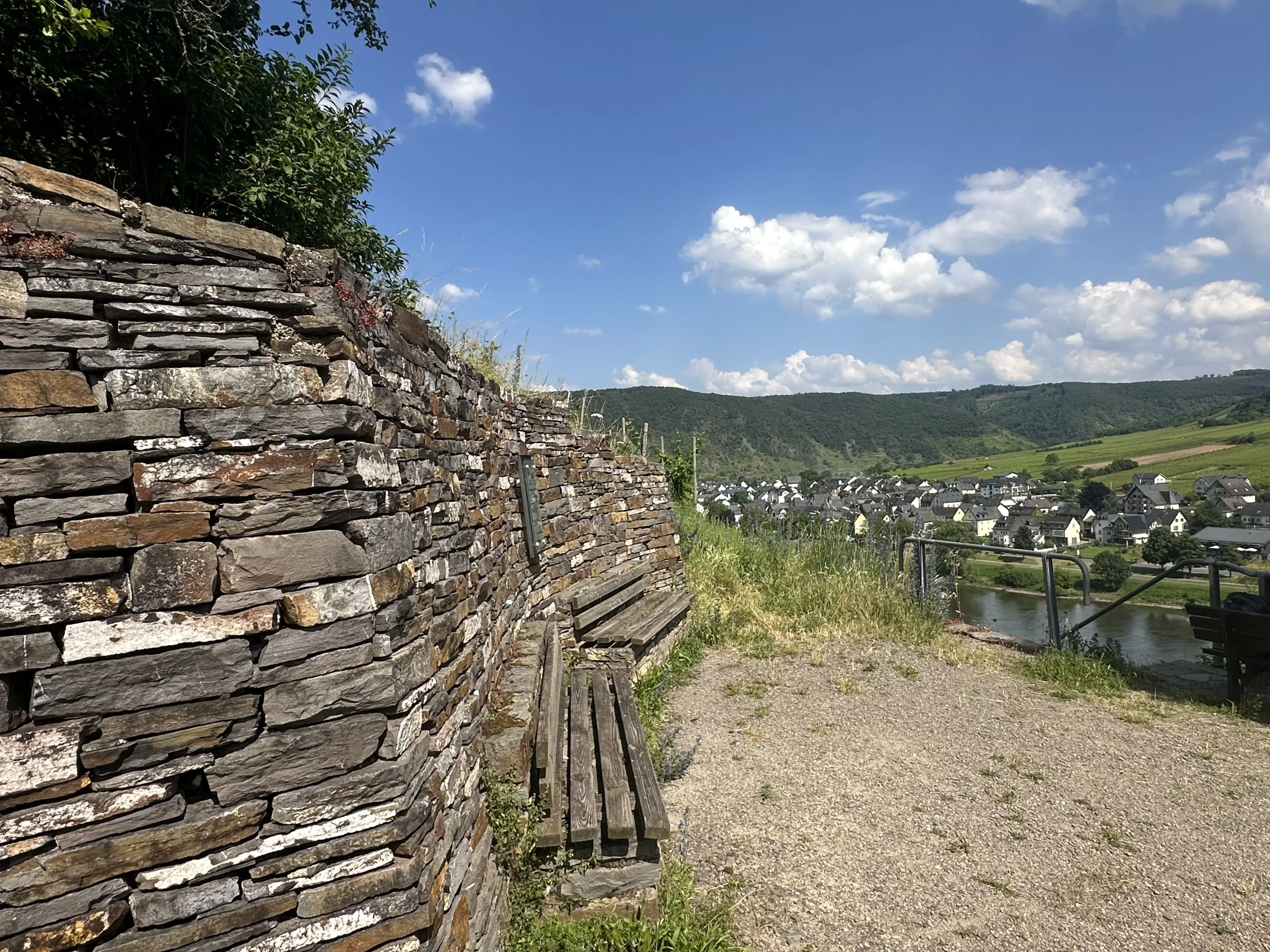 Gebruiksklare wijngaarden in Cochem - Bremm - Duitsland