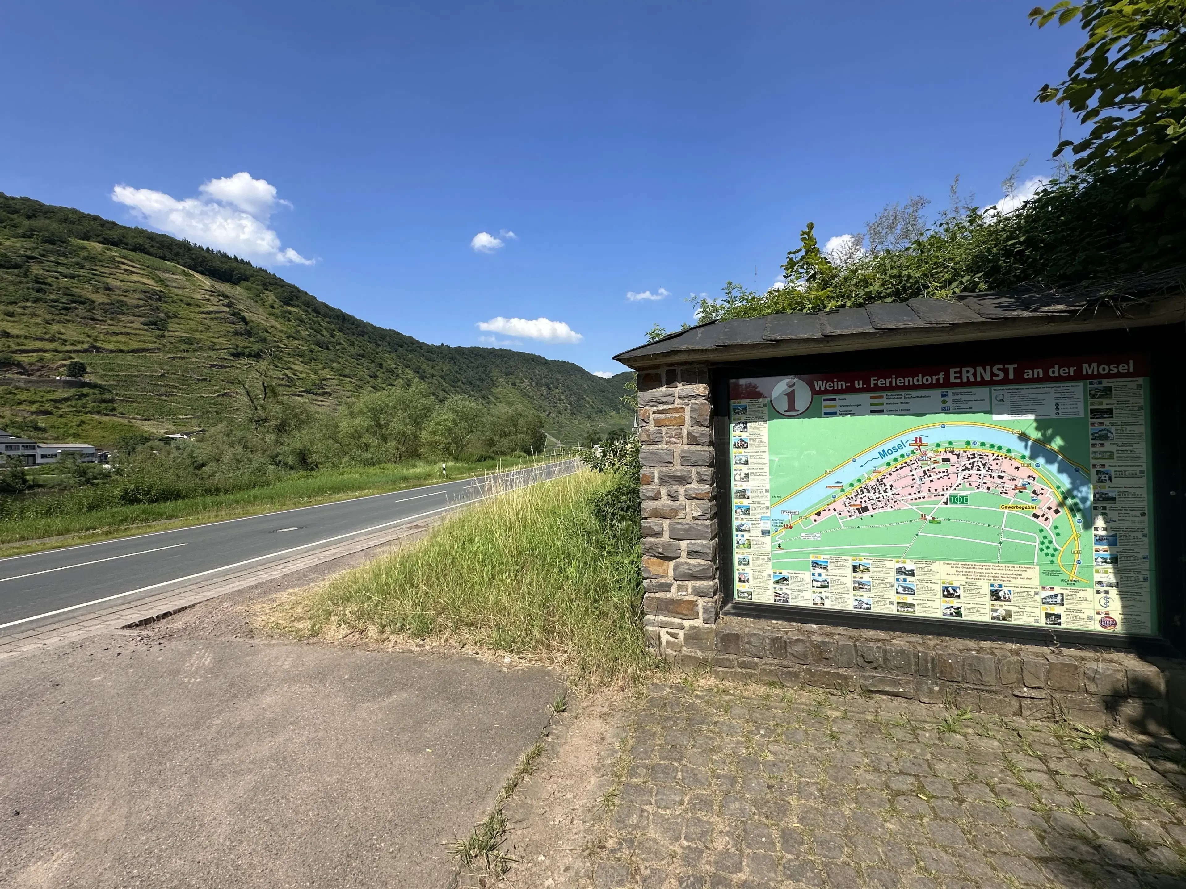 Gebruiksklare wijngaarden in Cochem - Bremm - Duitsland