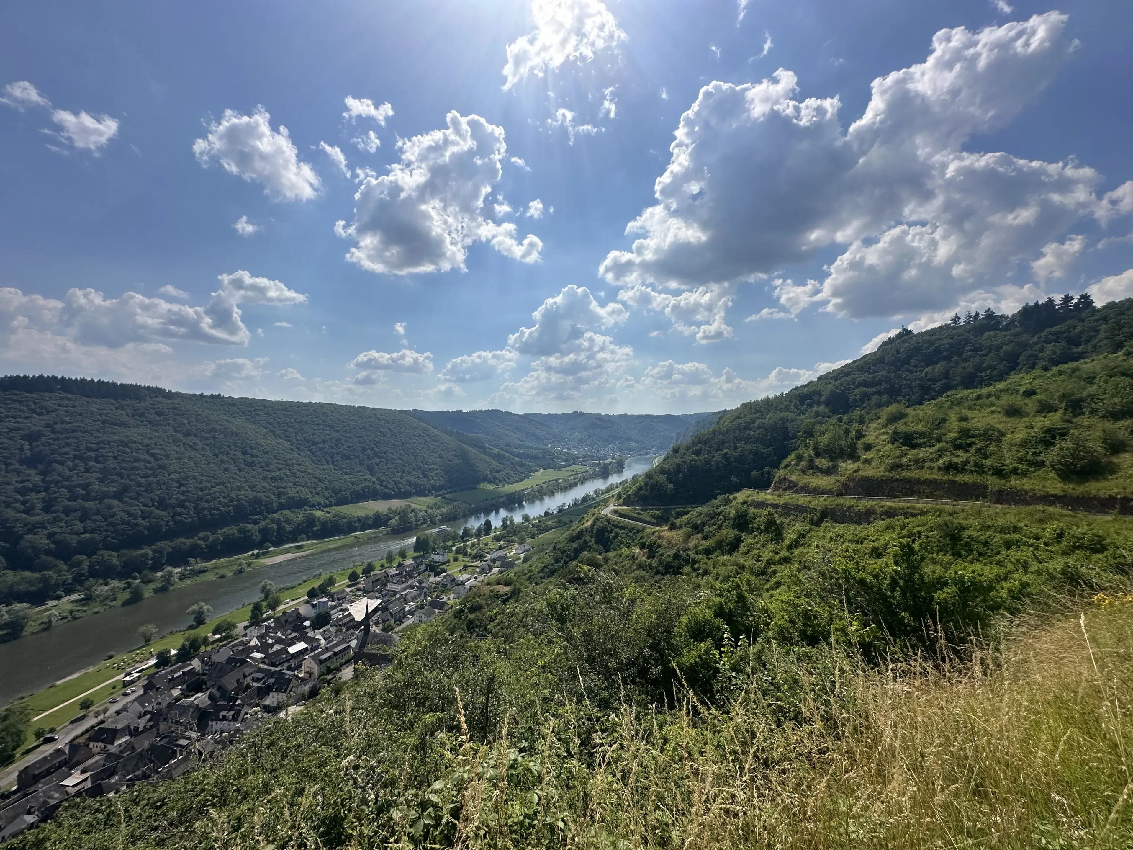 Gebruiksklare wijngaarden in Cochem - Bremm - Duitsland