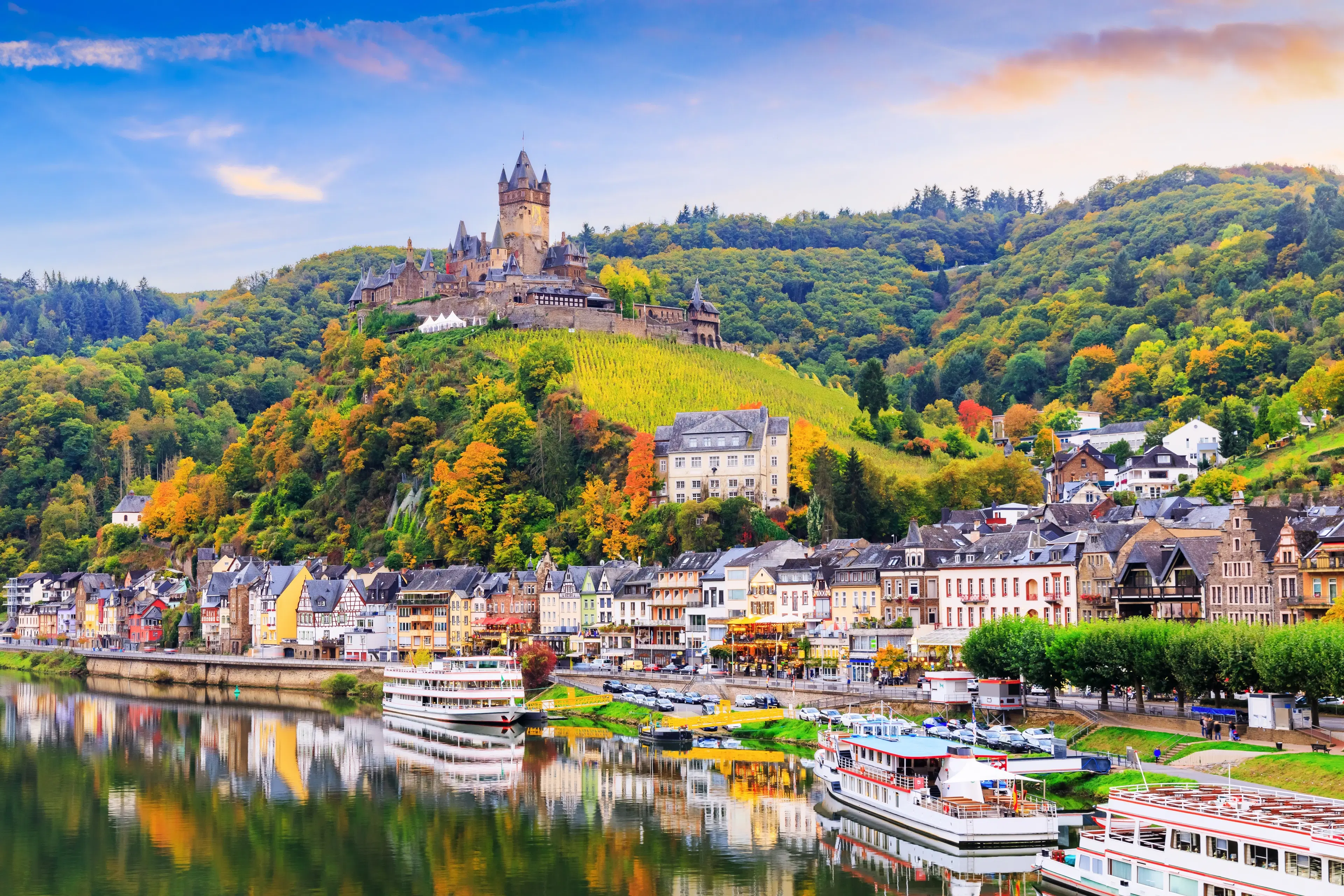 Gebruiksklare wijngaarden in Cochem - Bremm - Duitsland