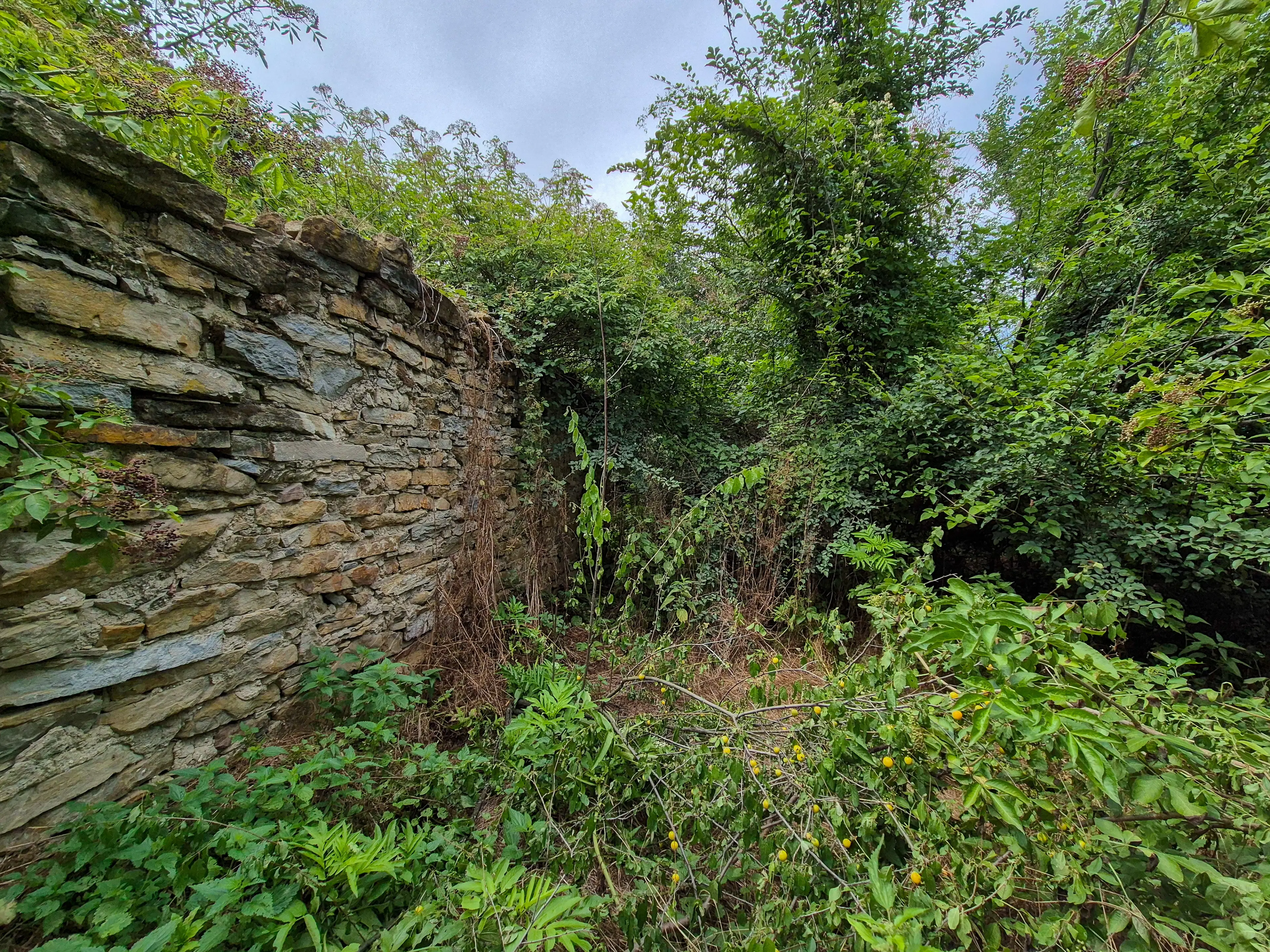 3.948 m2 grond met klassiek huis en bijgebouw in Izvor Mahala (Vidin) - Bulgarije