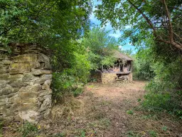 3.948 m2 grond met klassiek huis en bijgebouw in Izvor Mahala (Vidin) - Bulgarije