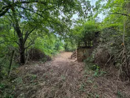 3.948 m2 grond met klassiek huis en bijgebouw in Izvor Mahala (Vidin) - Bulgarije