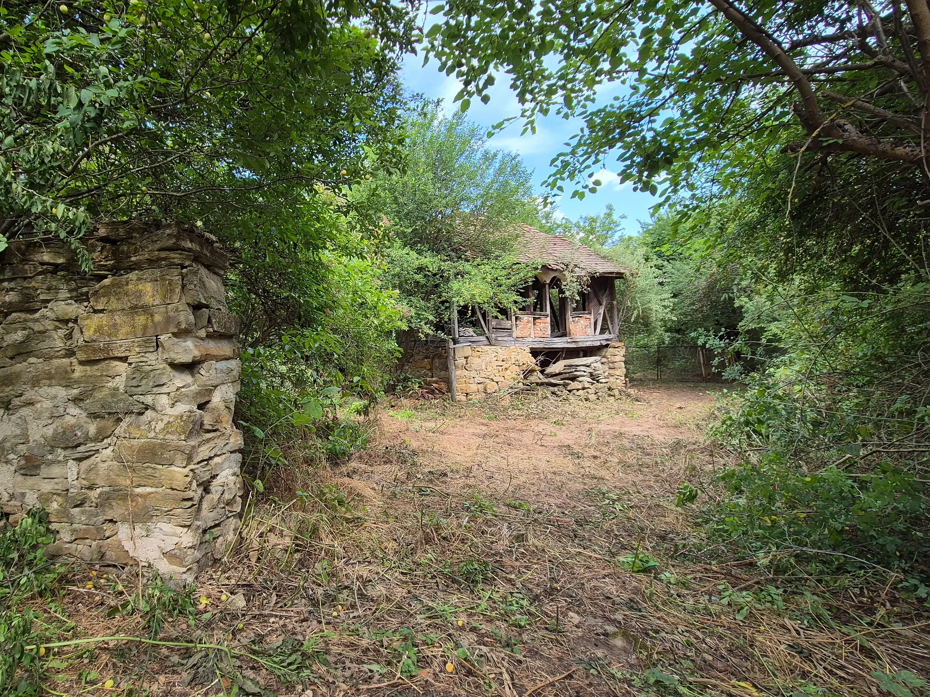 3.948 m2 grond met klassiek huis en bijgebouw in Izvor Mahala (Vidin) - Bulgarije