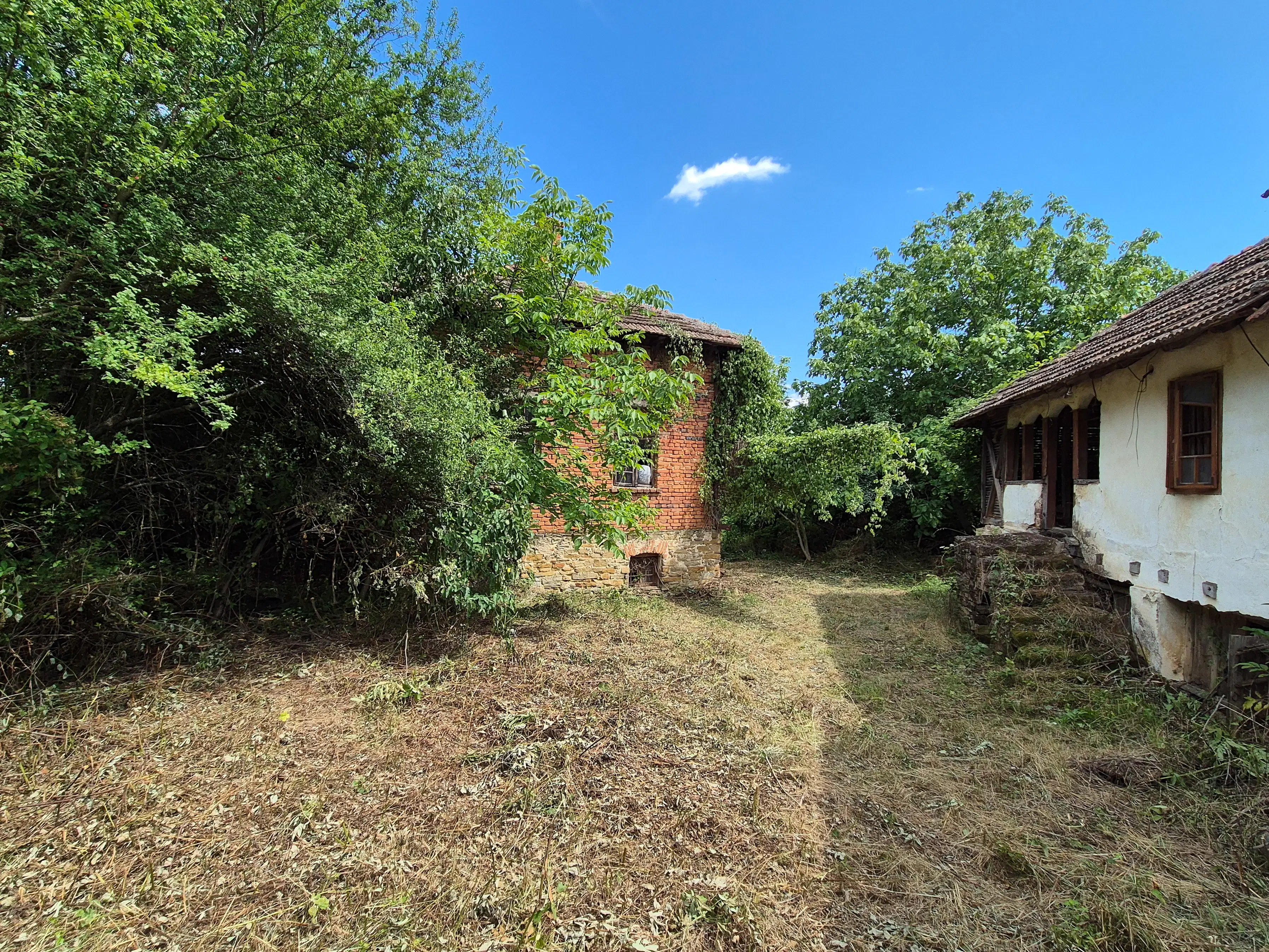 Klassiek huis, bijgebouw en 1.662 m2 grond in Izvor Mahala (Vidin) - Bulgarije