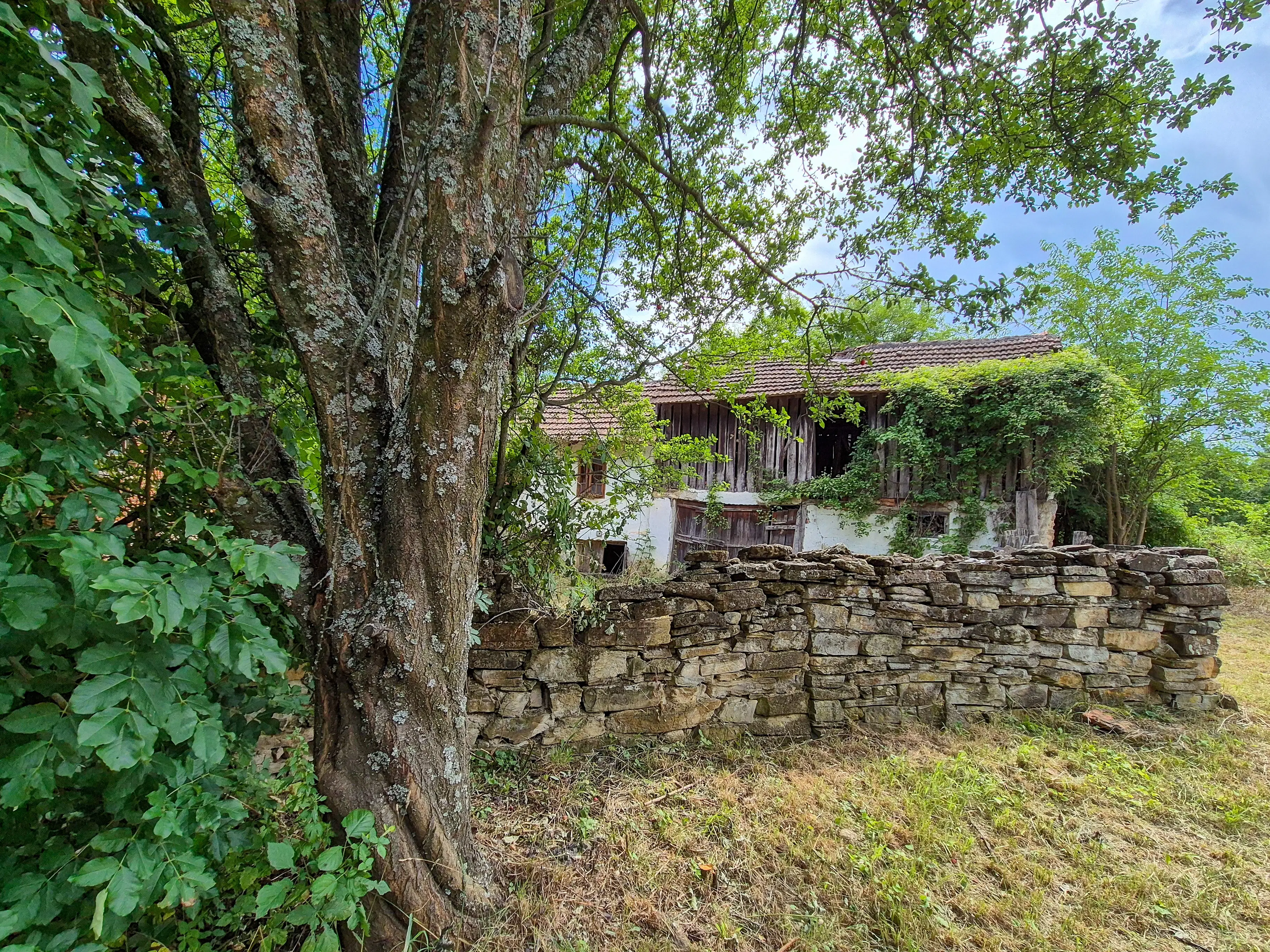 Klassiek huis, bijgebouw en 1.662 m2 grond in Izvor Mahala (Vidin) - Bulgarije