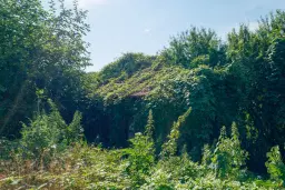 617 m2 grond met modern huis met 2 verdiepingen en bijgebouw in Dolni Boshnyak - Bulgarije