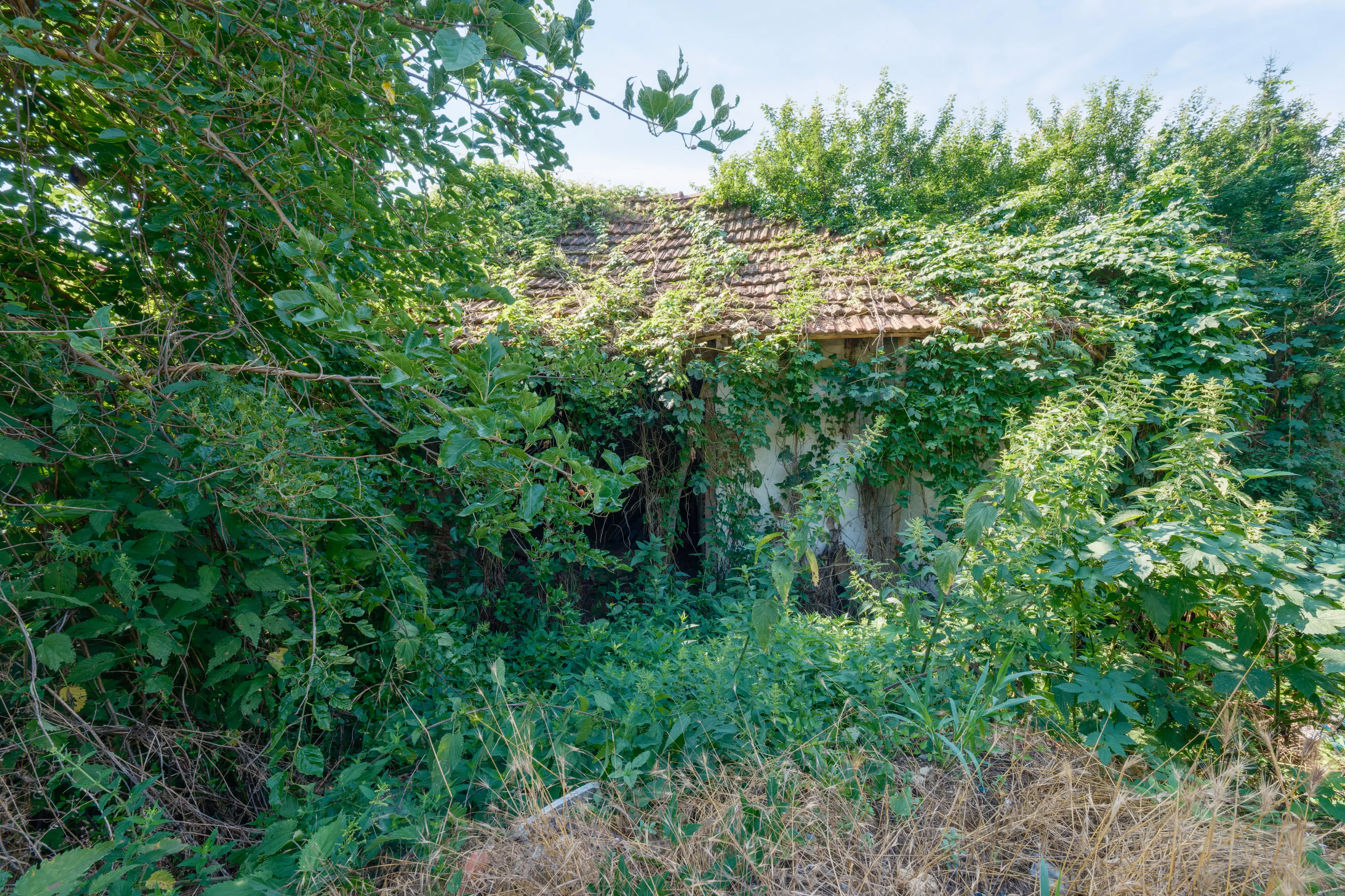 617 m2 grond met modern huis met 2 verdiepingen en bijgebouw in Dolni Boshnyak - Bulgarije