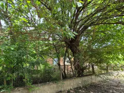 Hoofdgebouw, bijgebouwen en 1.190 m2 land in Tsar Shishmanovo - Bulgarije