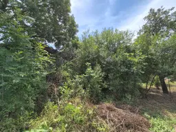 Hoofdgebouw, bijgebouwen en 1.190 m2 land in Tsar Shishmanovo - Bulgarije