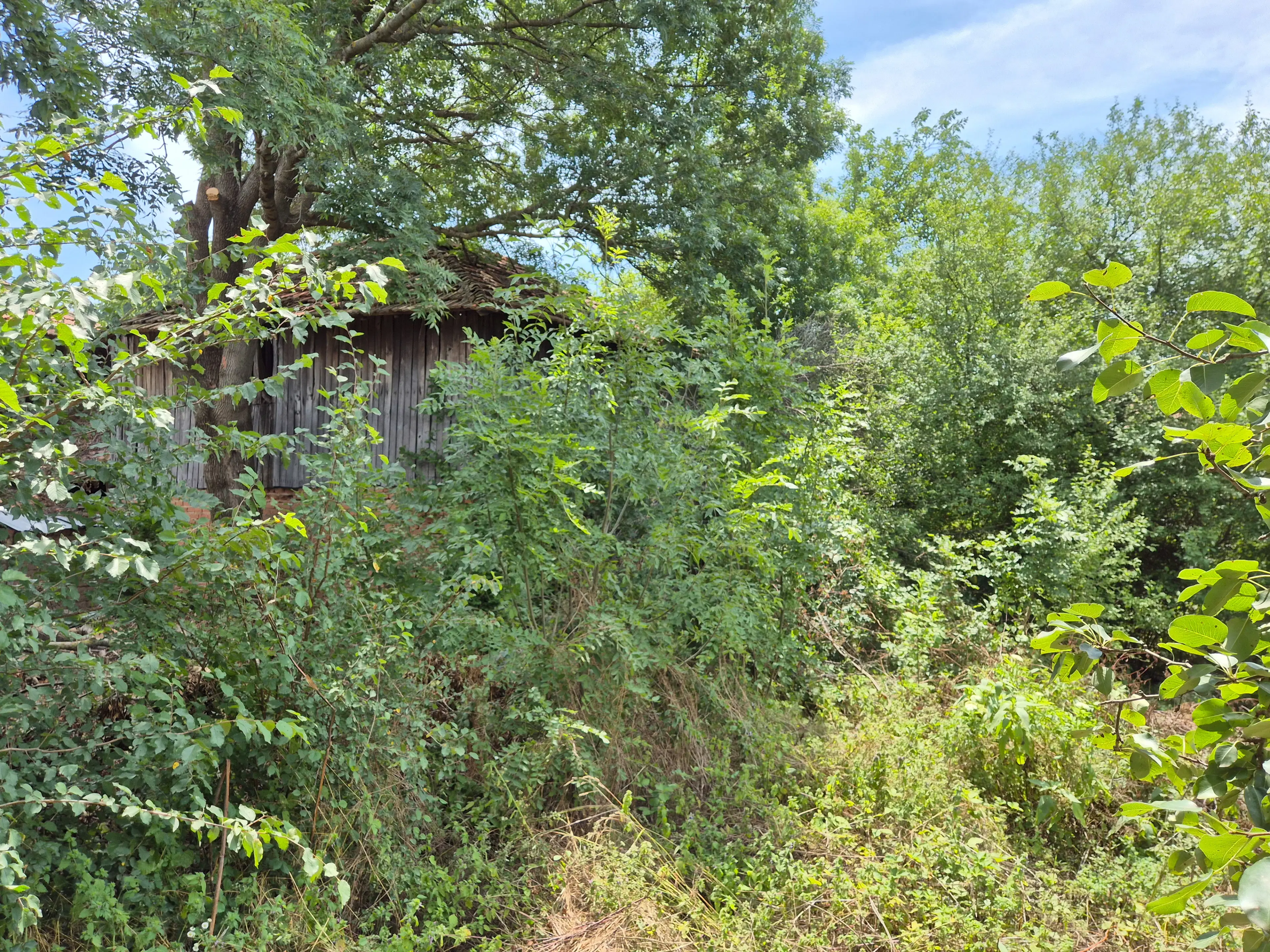 Hoofdgebouw, bijgebouwen en 1.190 m2 land in Tsar Shishmanovo - Bulgarije