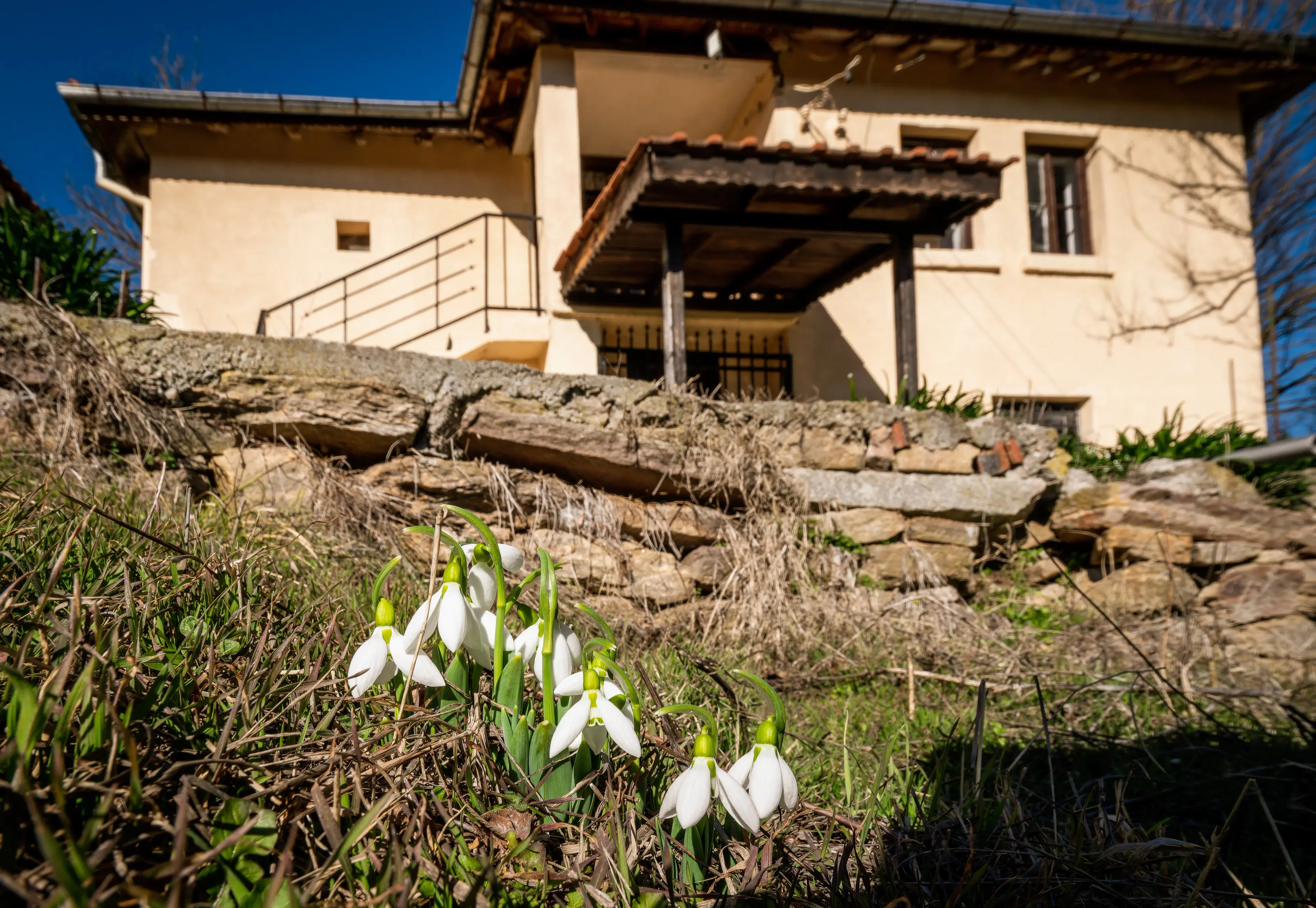 Twee verdiepingen huis, bijgebouwen en 766 m2 grond - Leshnikovo - Bulgarije