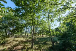 27.771 m2 bosgrond - regio Vidin - Bulgarije