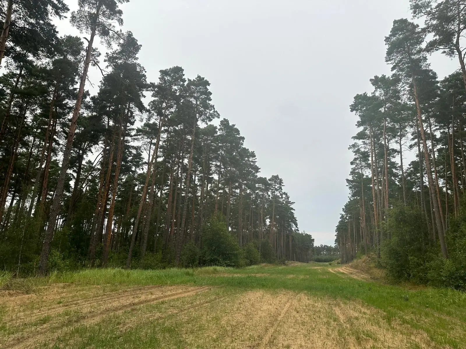 Vooroorlogse uitkijktoren 40 meter - Lübtheen - Duitsland