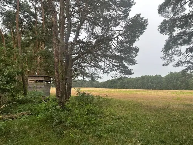 Vooroorlogse uitkijktoren 40 meter - Lübtheen - Duitsland