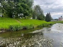 Recreatiekavel met kleine bungalow (blokhut) - Sohland an der Spree - Duitsland