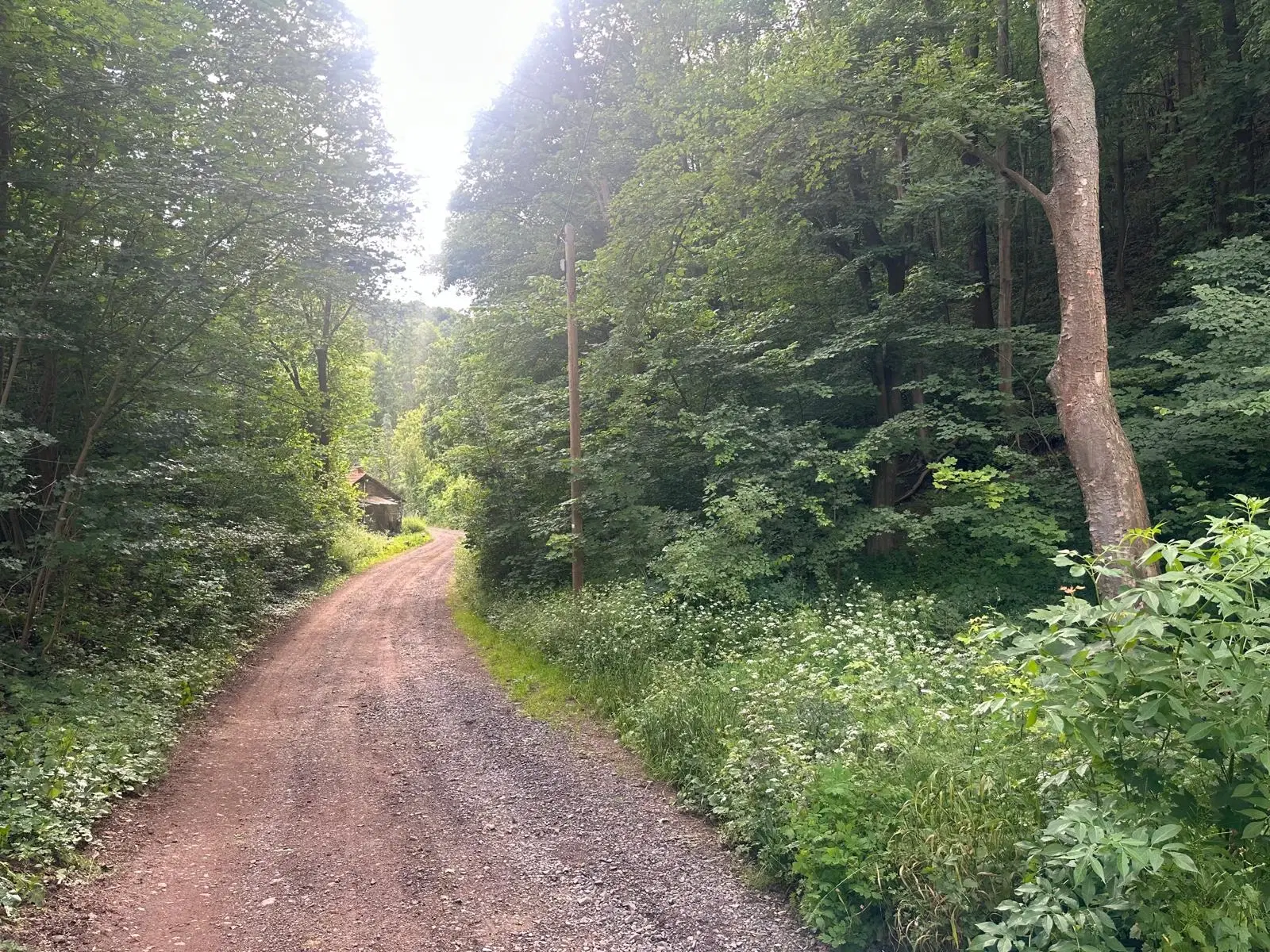 Uniek perceel natuur van 8.091 m2 in Wutha - Farnroda - Duitsland